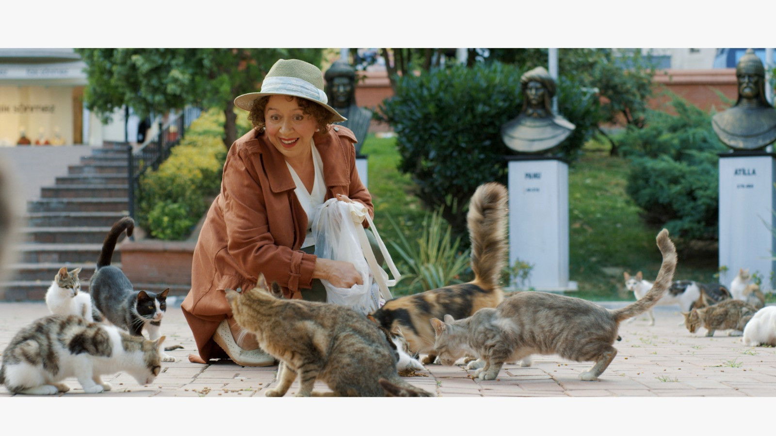 Backdrop for Some Cats of the Neighborhood