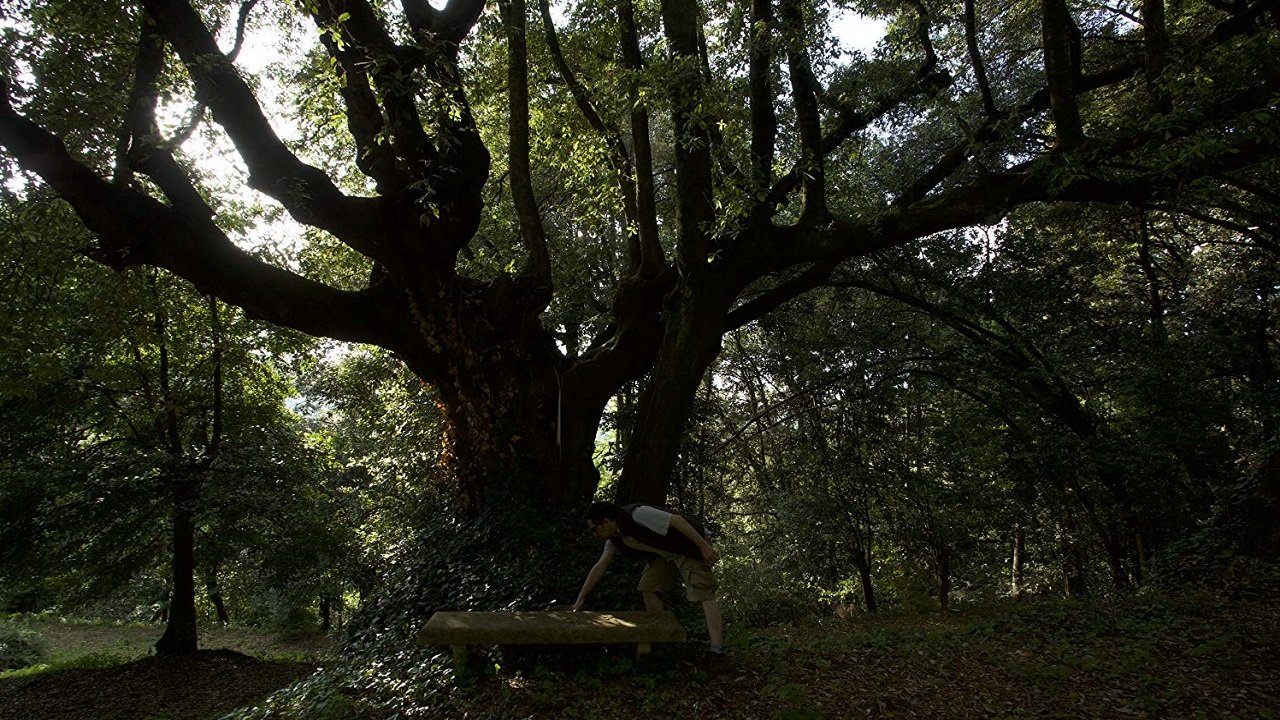 Backdrop for The Gift