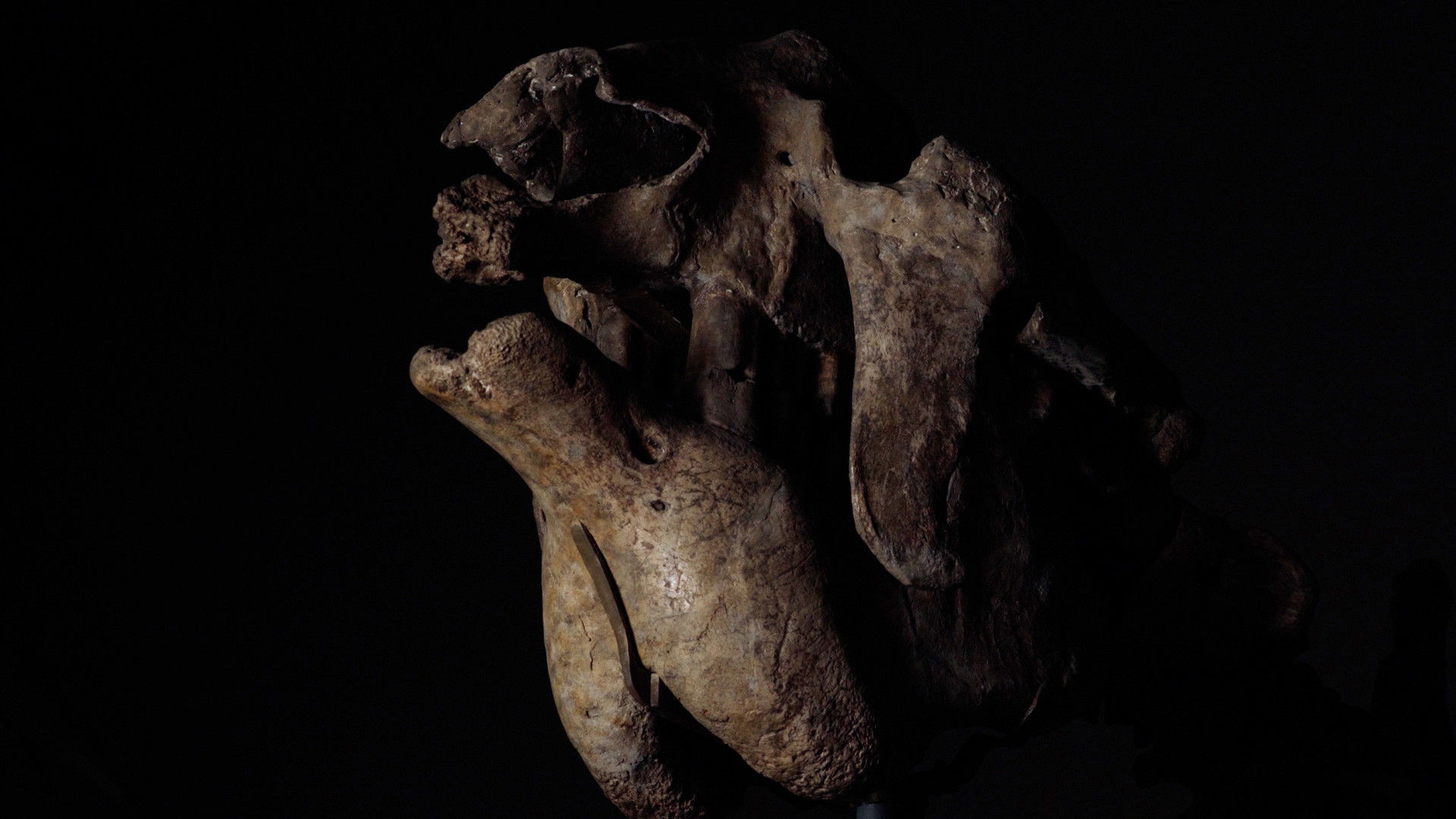 Backdrop for Tesoros y Fantasmas de la Ciencia Española