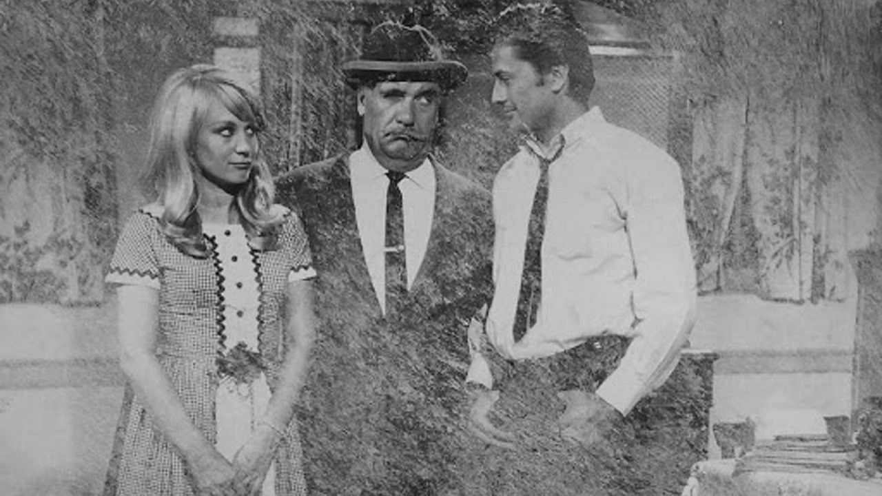 Backdrop for Çıtkırıldım