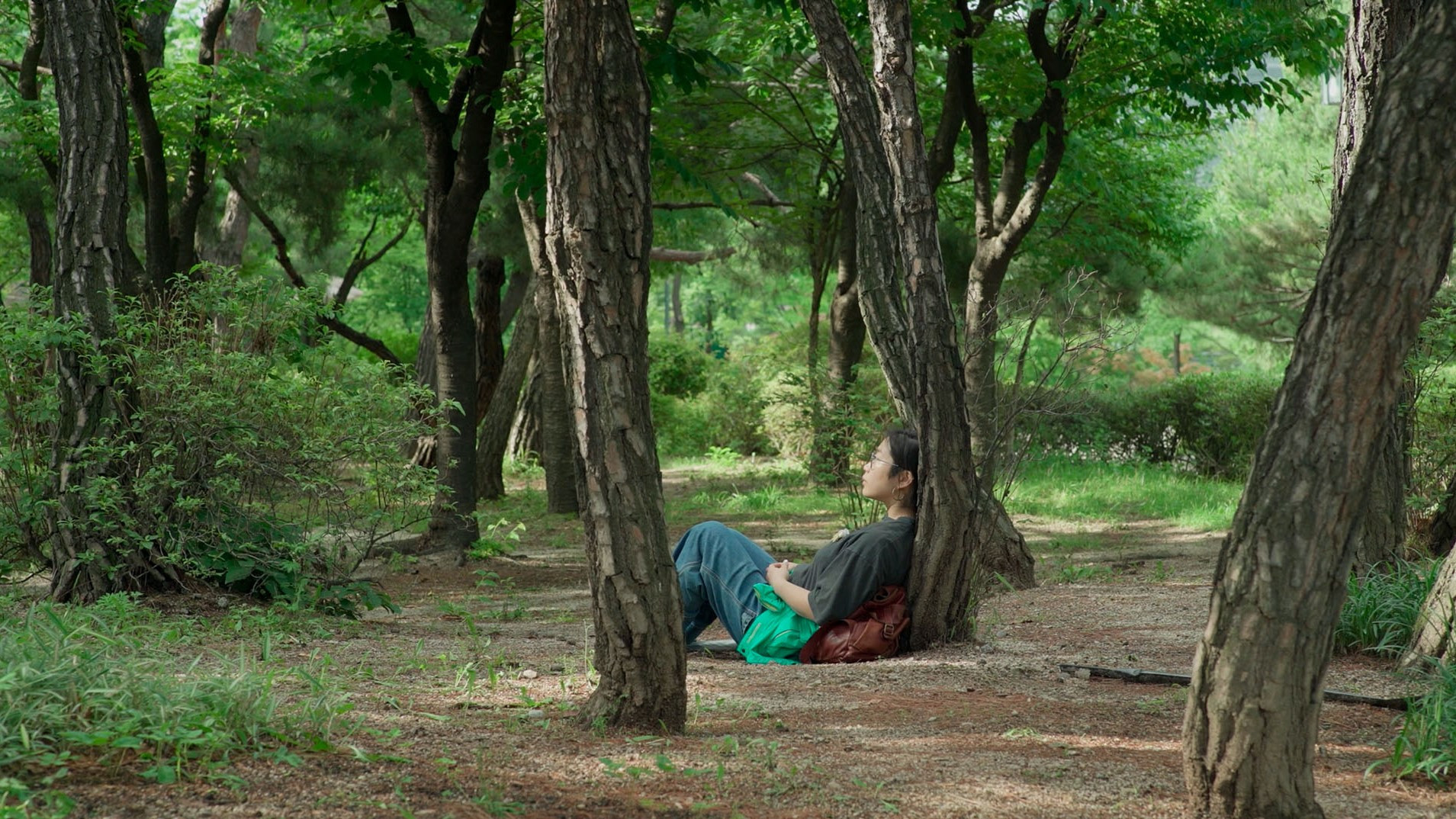 Backdrop for A Boat Departed from Me Taking Me Away