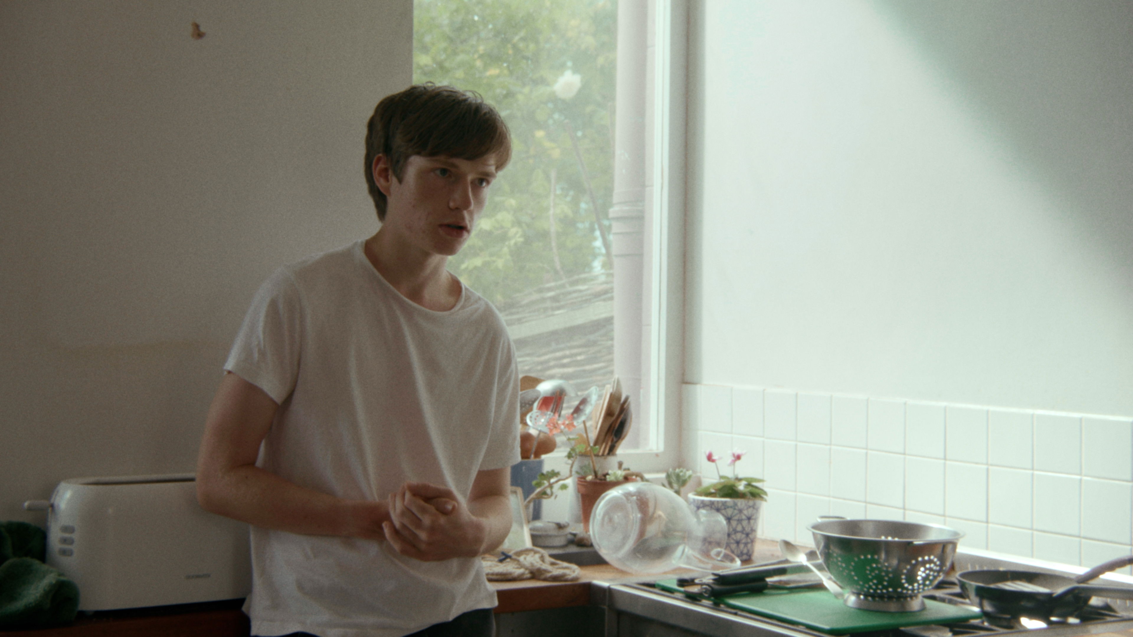 Backdrop for The Desert