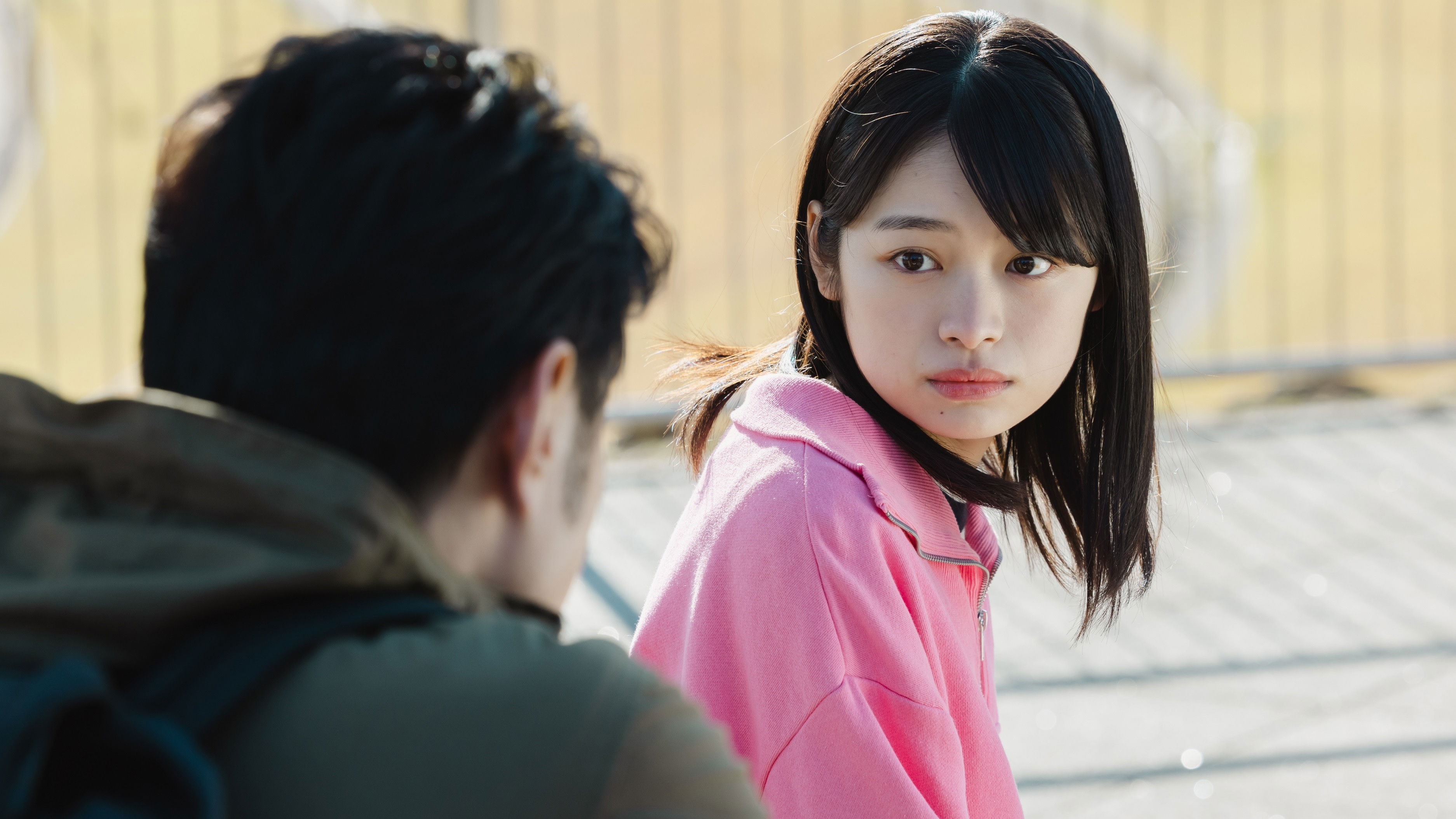 Backdrop for The Window of Non-REM 2025 New Year