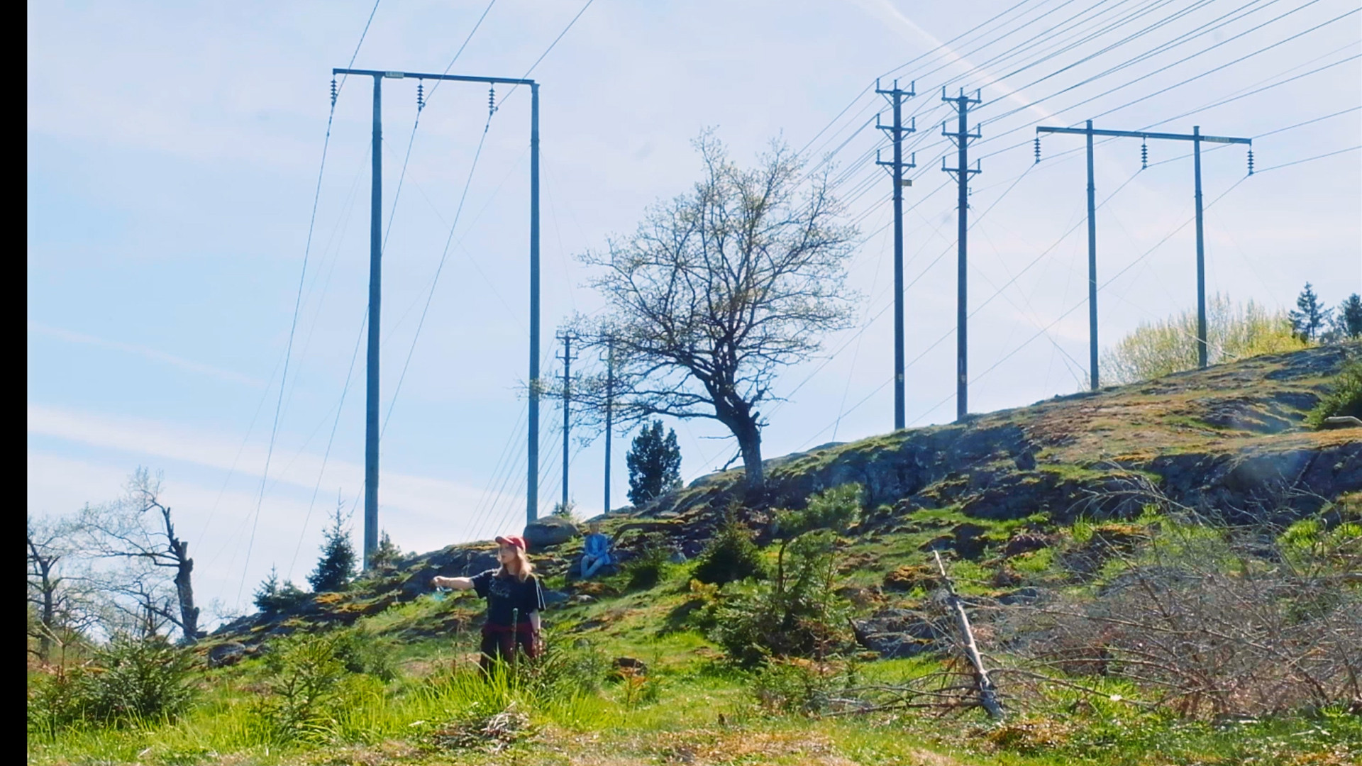 Backdrop for Mincemeat