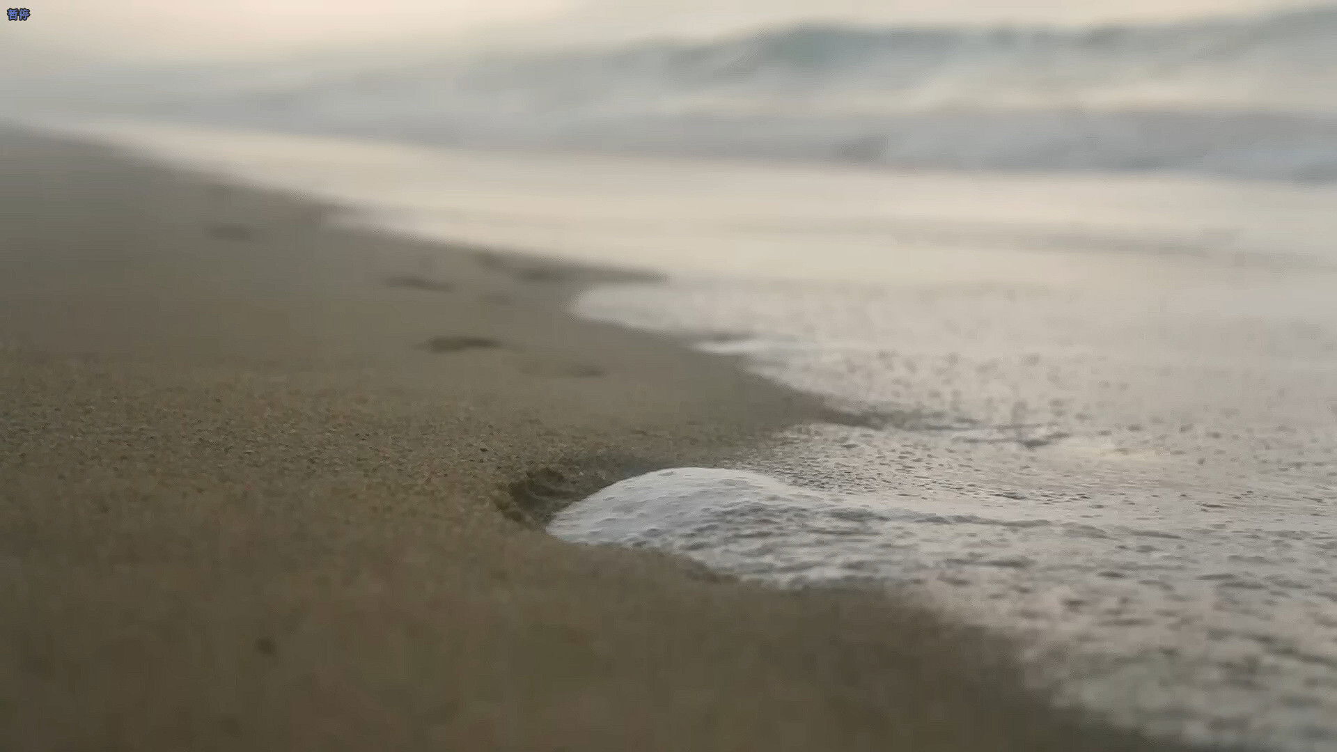 Backdrop for The Promised Land of Love