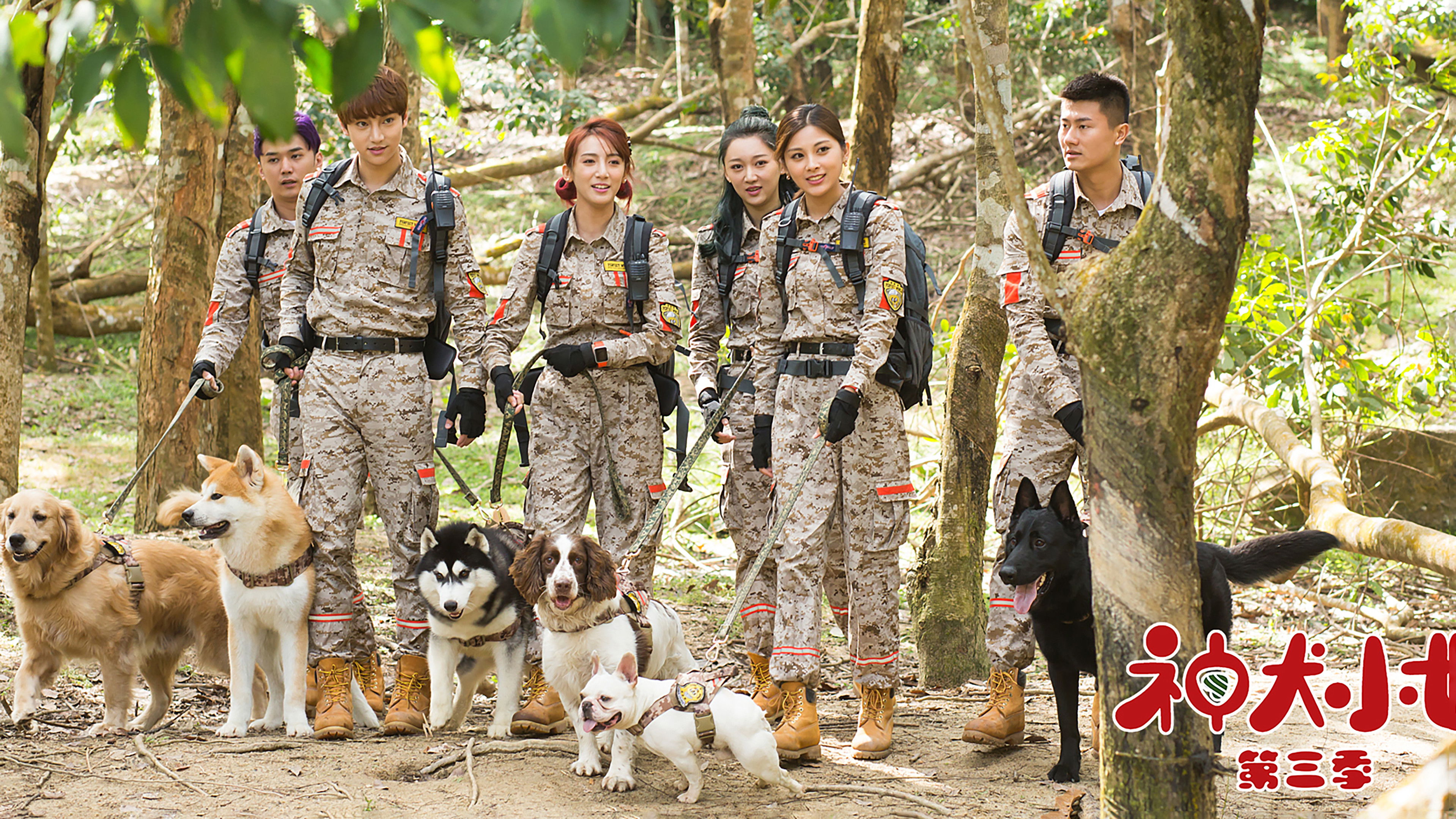 Backdrop for 神犬小七3