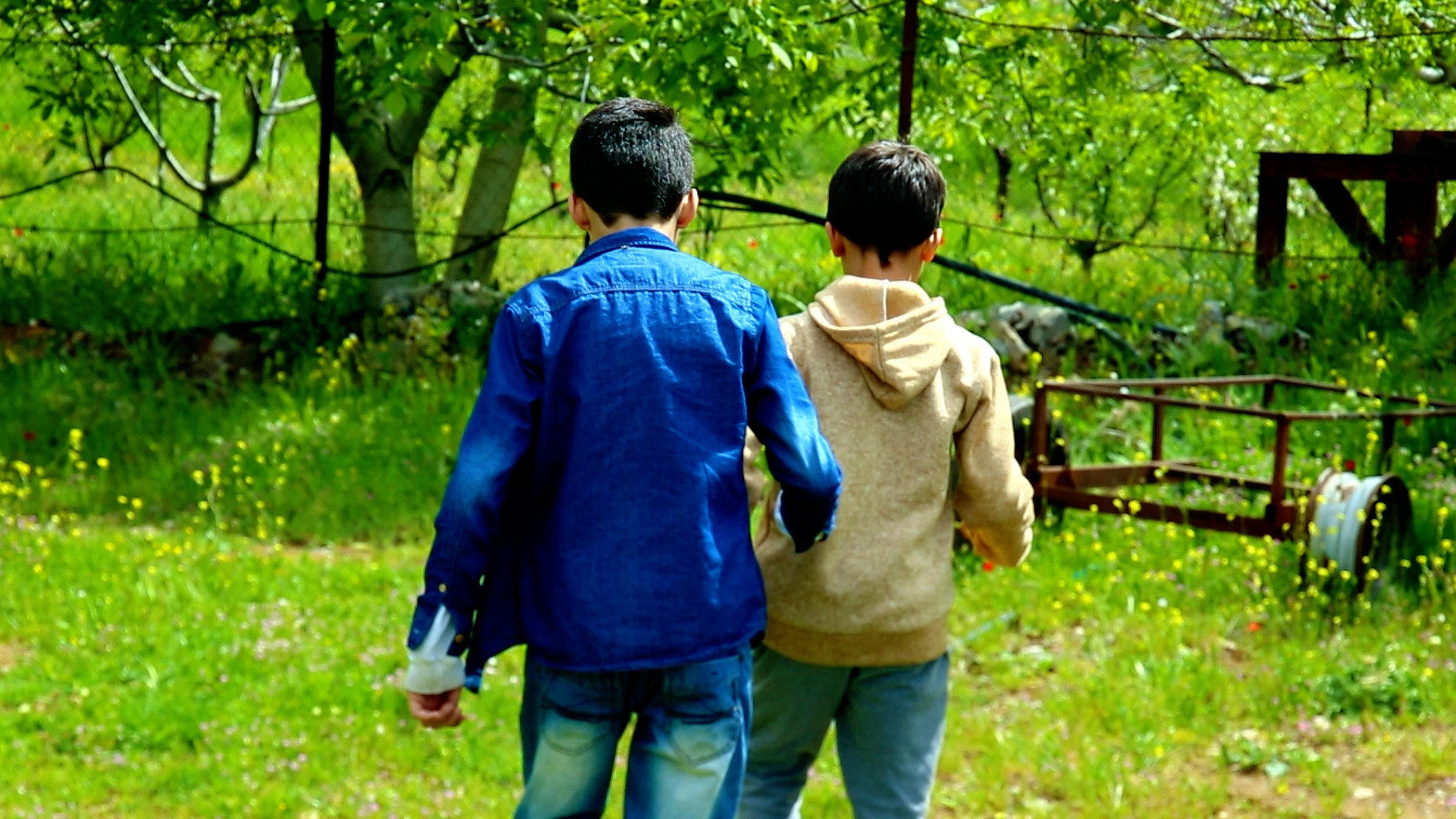 Backdrop for Meters Away