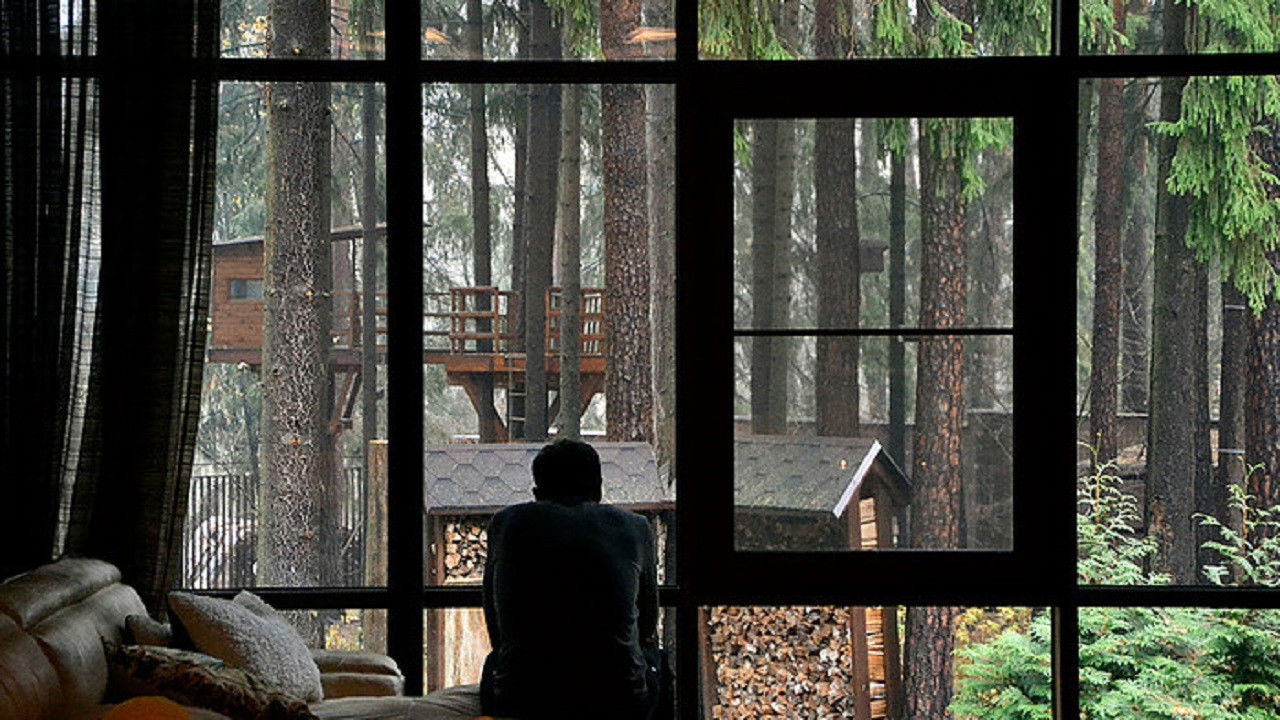 Backdrop for The Last Night