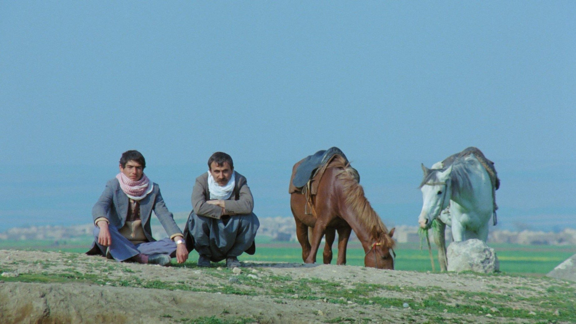 Backdrop for The Road