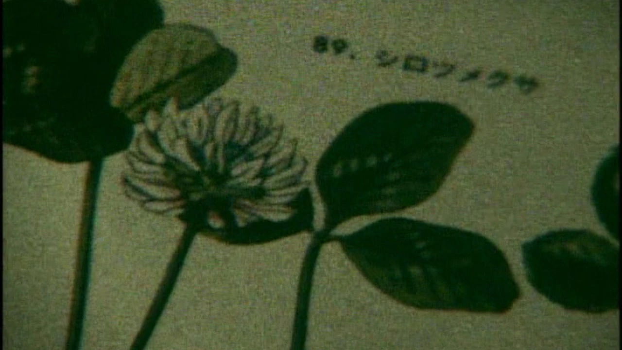 Backdrop for Life Can Be So Wonderful