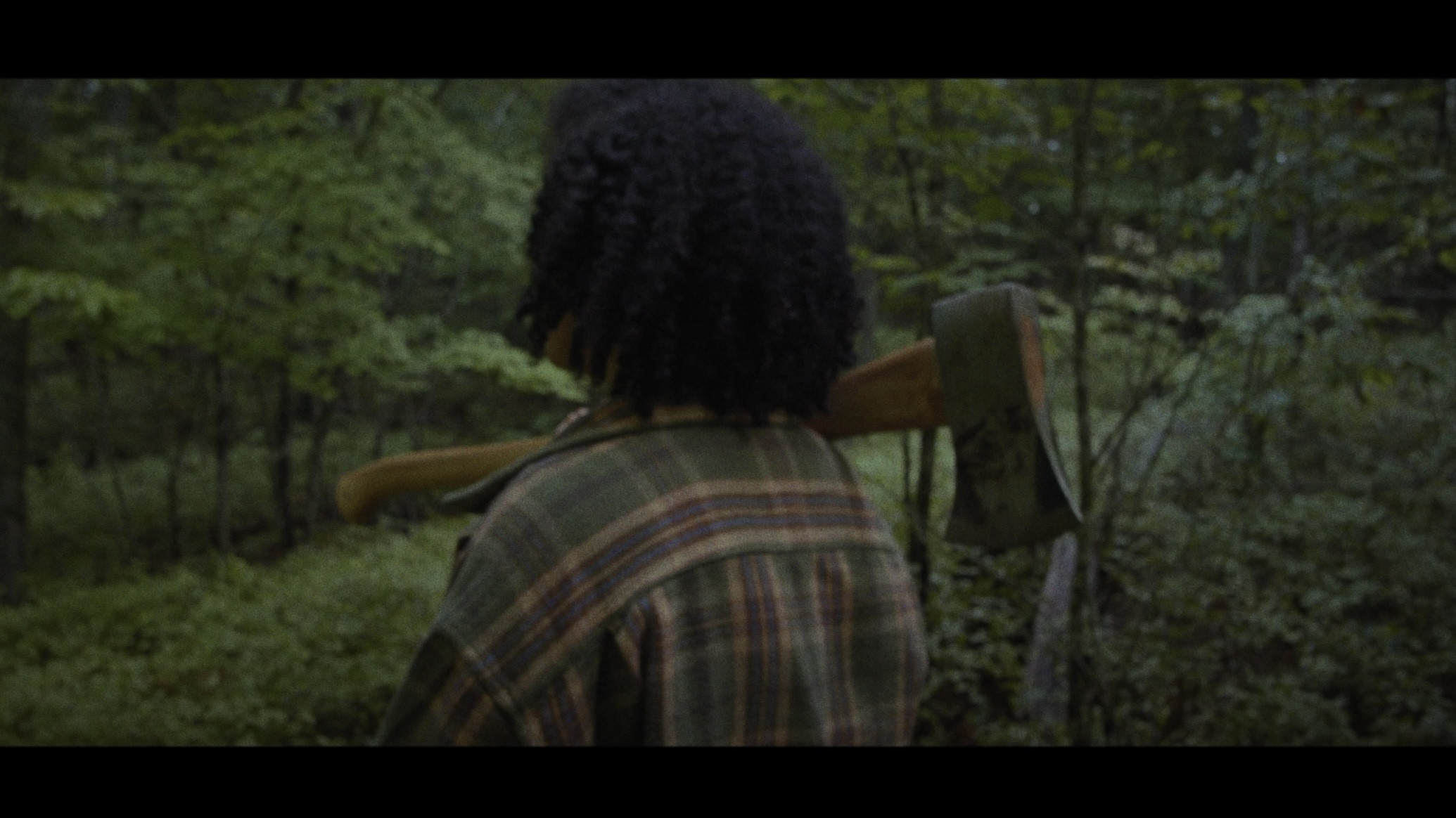 Backdrop for Elsbeth: or the barn owl and the rat king