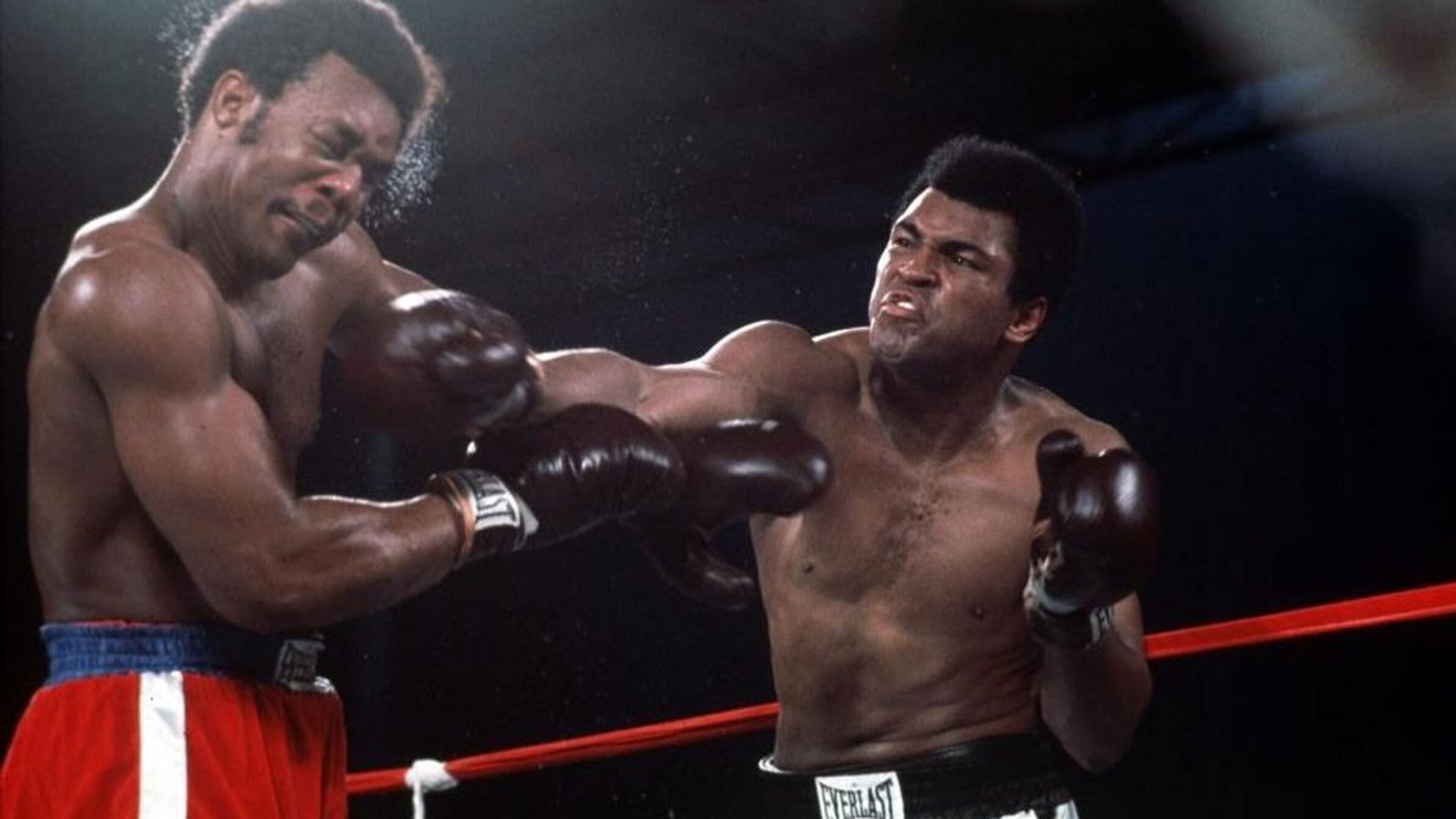 Backdrop for Rumble in the Jungle