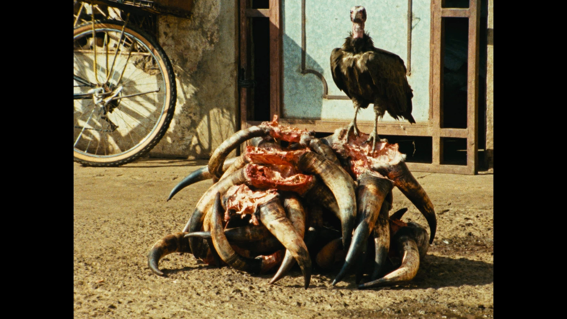 Backdrop for Amílcar