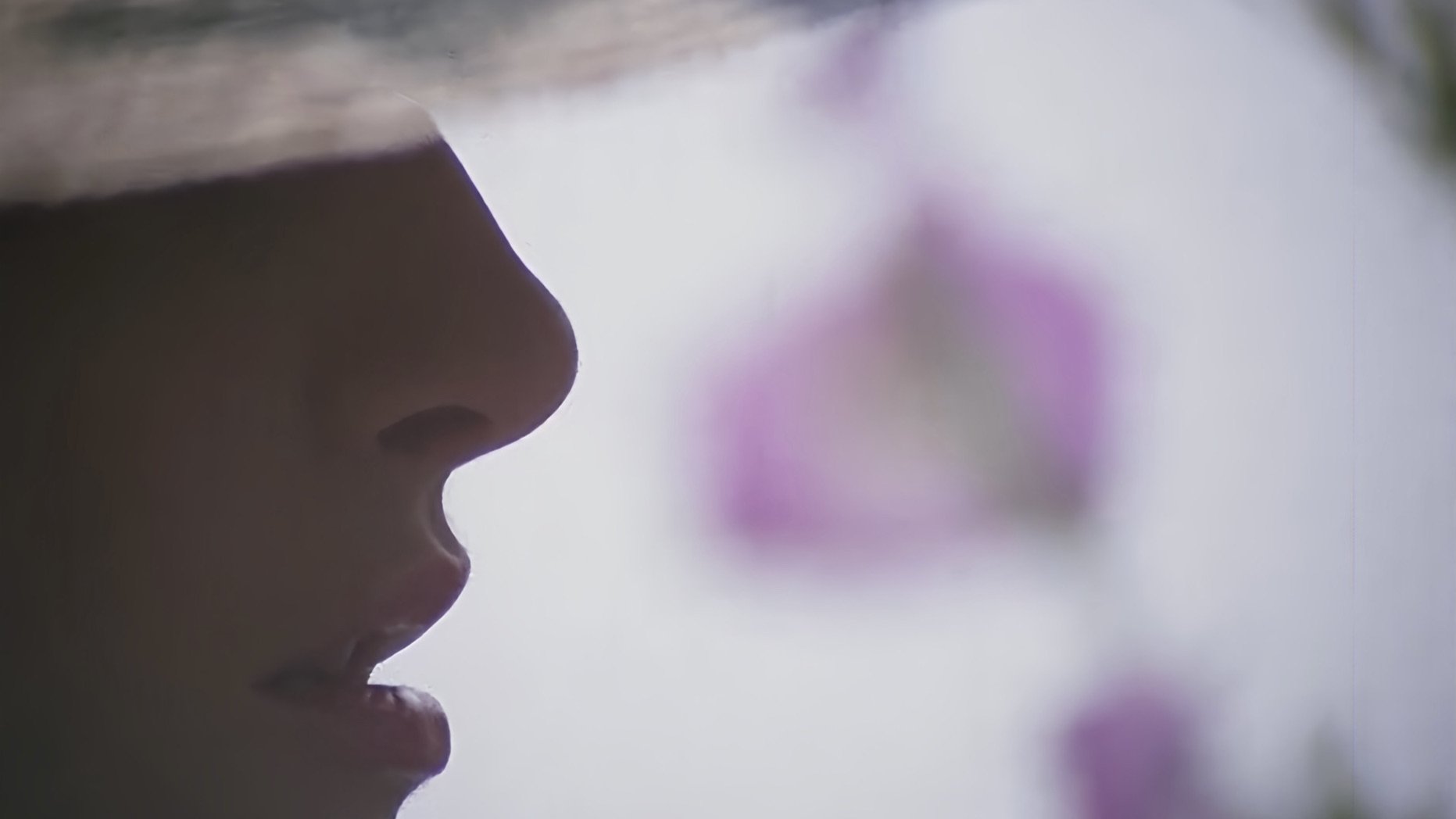 Backdrop for Sexual Perversions of a Married Woman