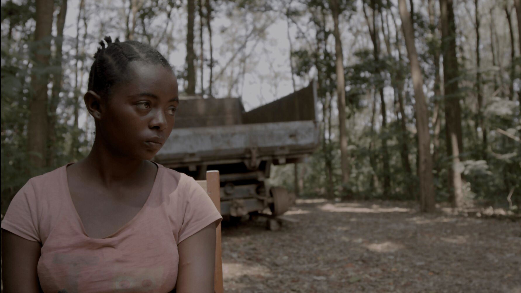 Backdrop for Seeds from Kivu