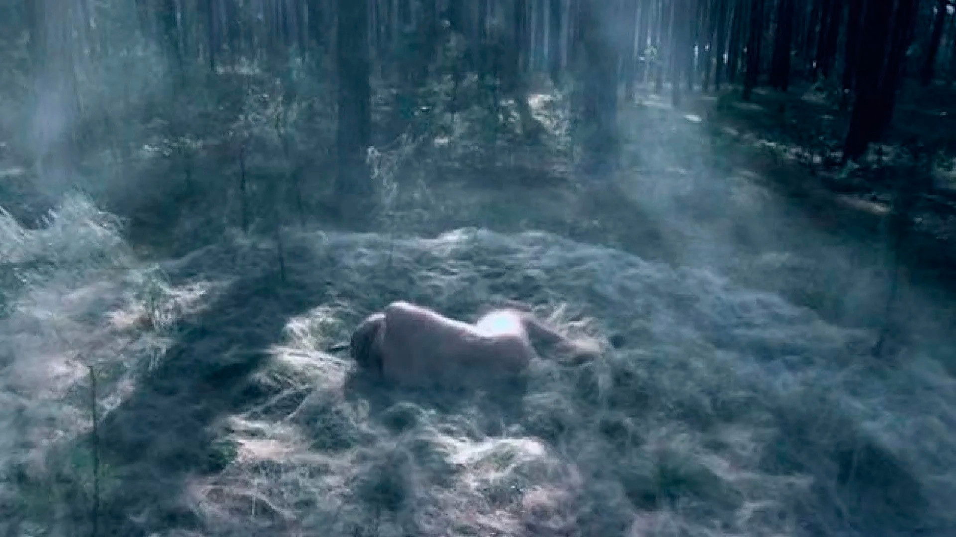 Backdrop for Extraterrestrial