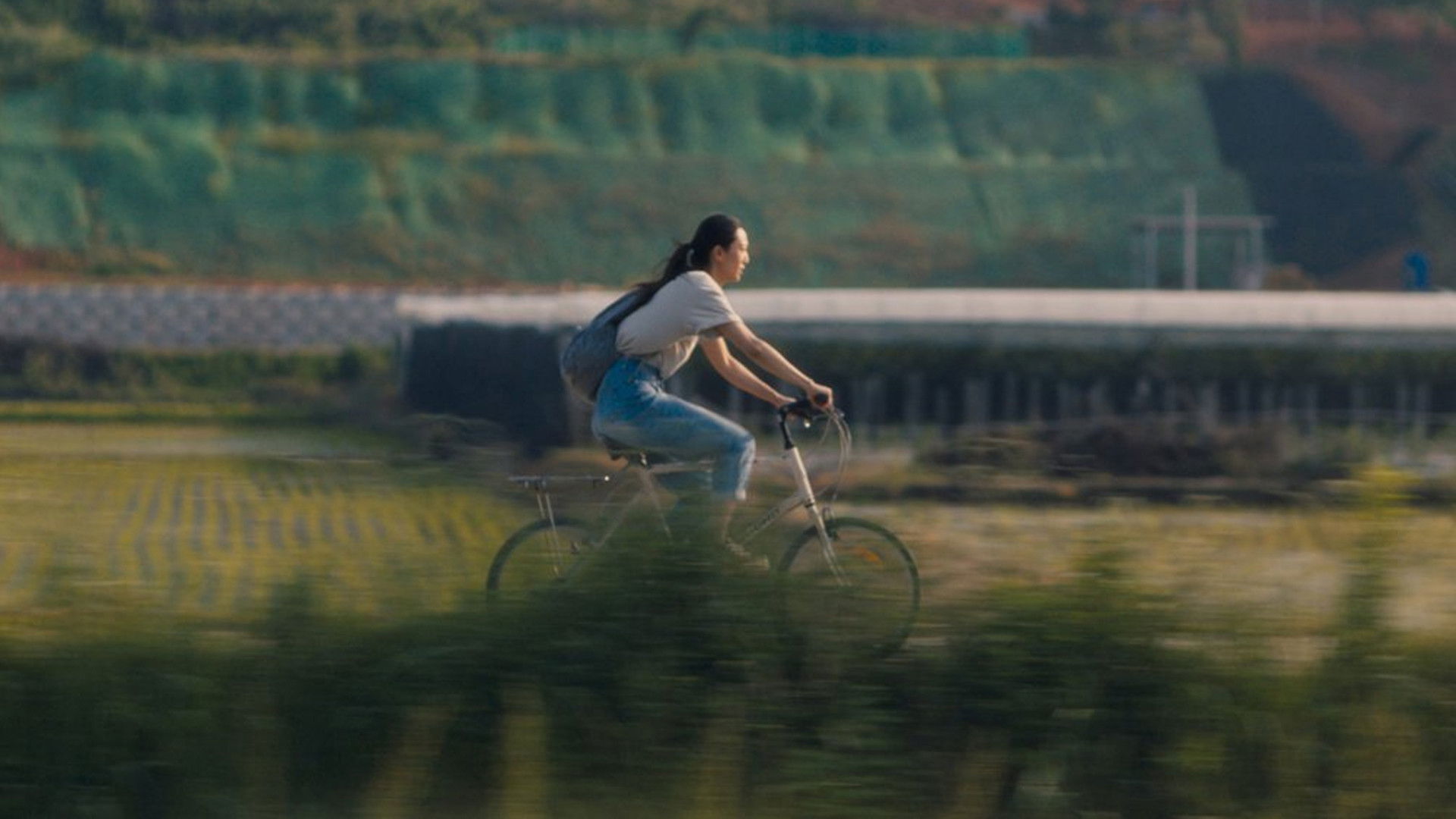 Backdrop for Motherland