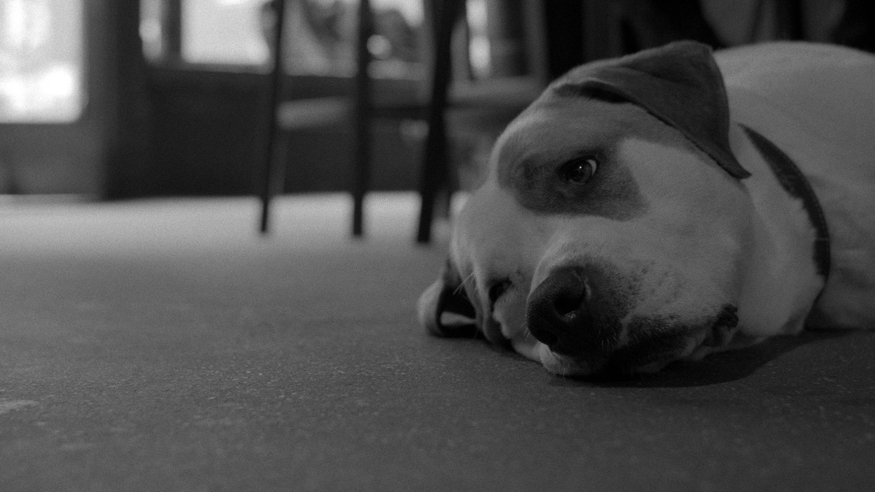 Backdrop for irregular