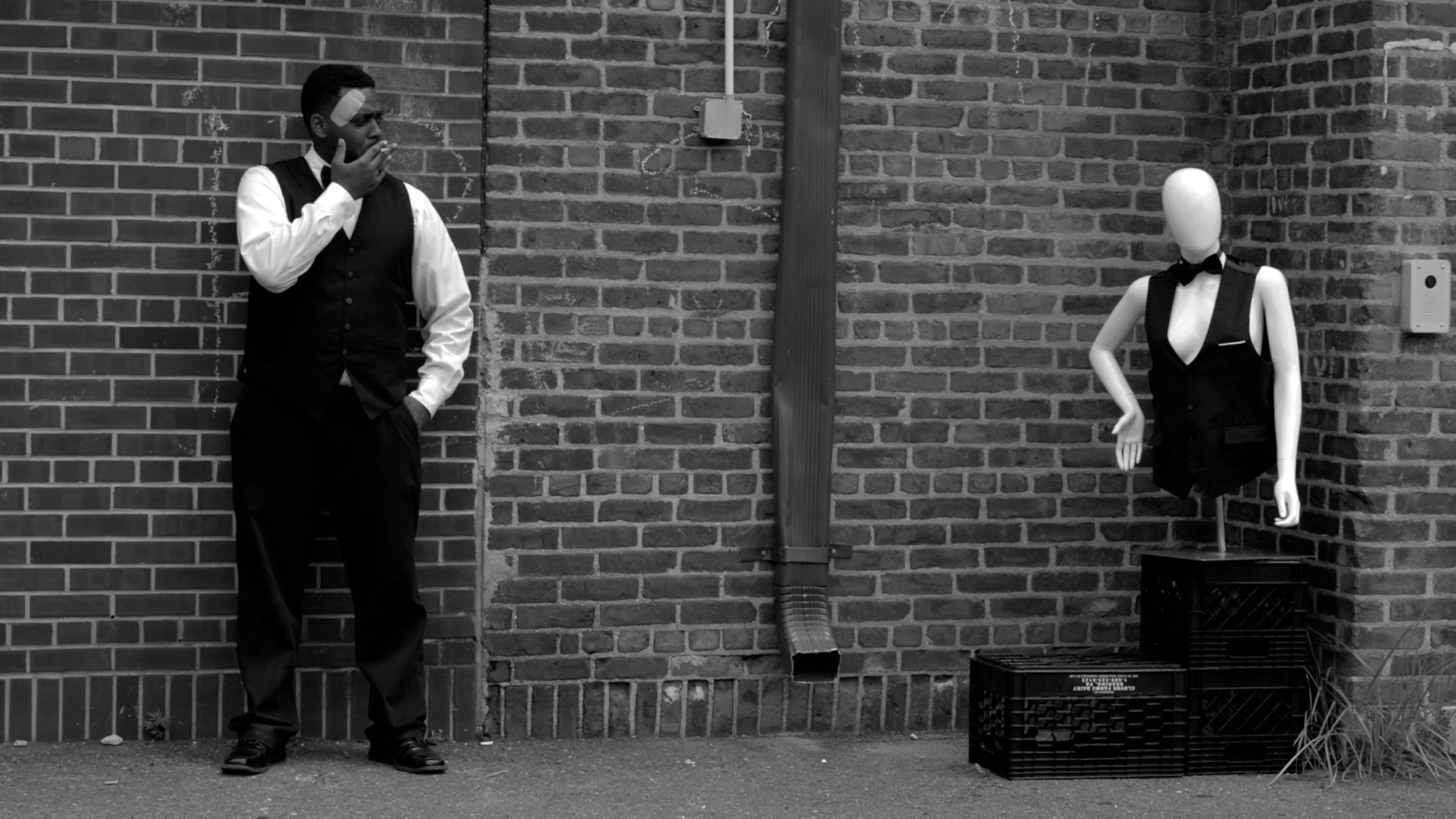 Backdrop for Greylock