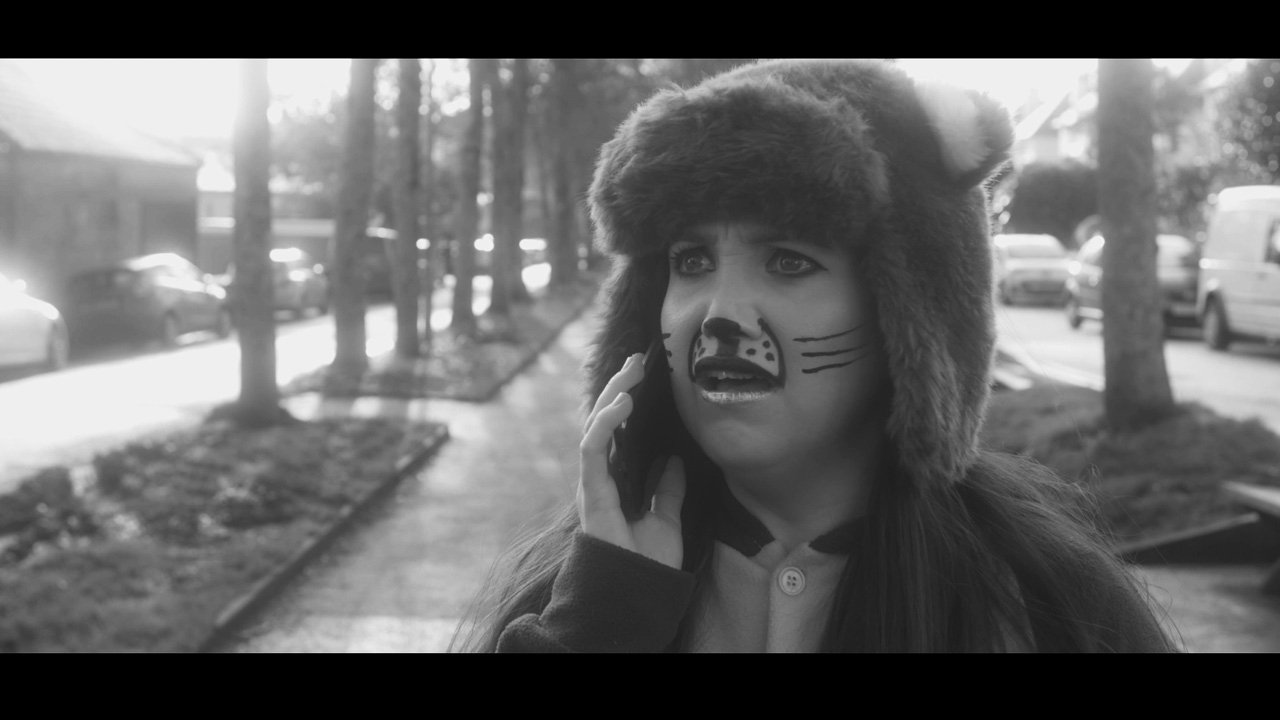 Backdrop for Organs of Business