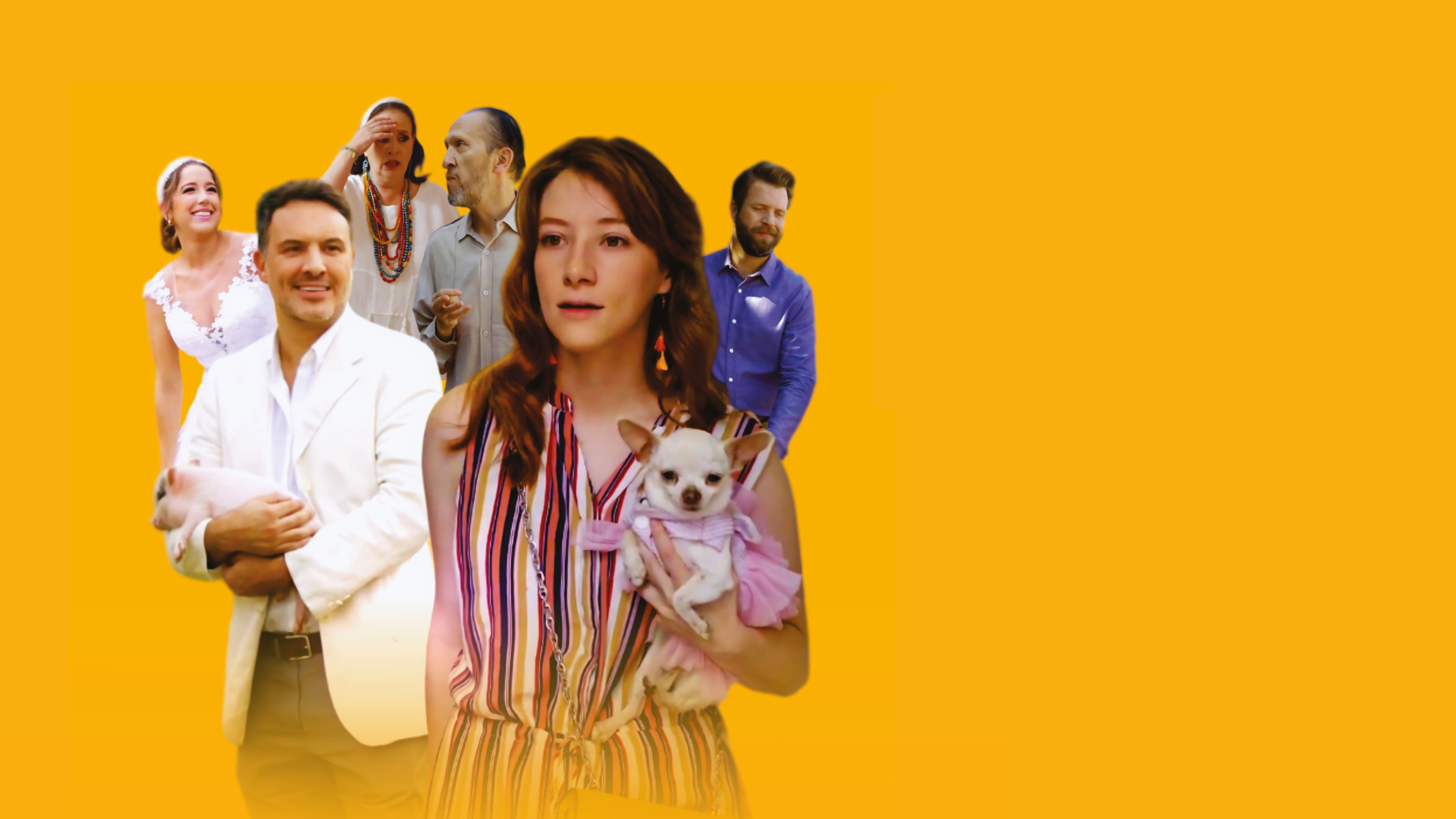 Backdrop for Una artista en la familia