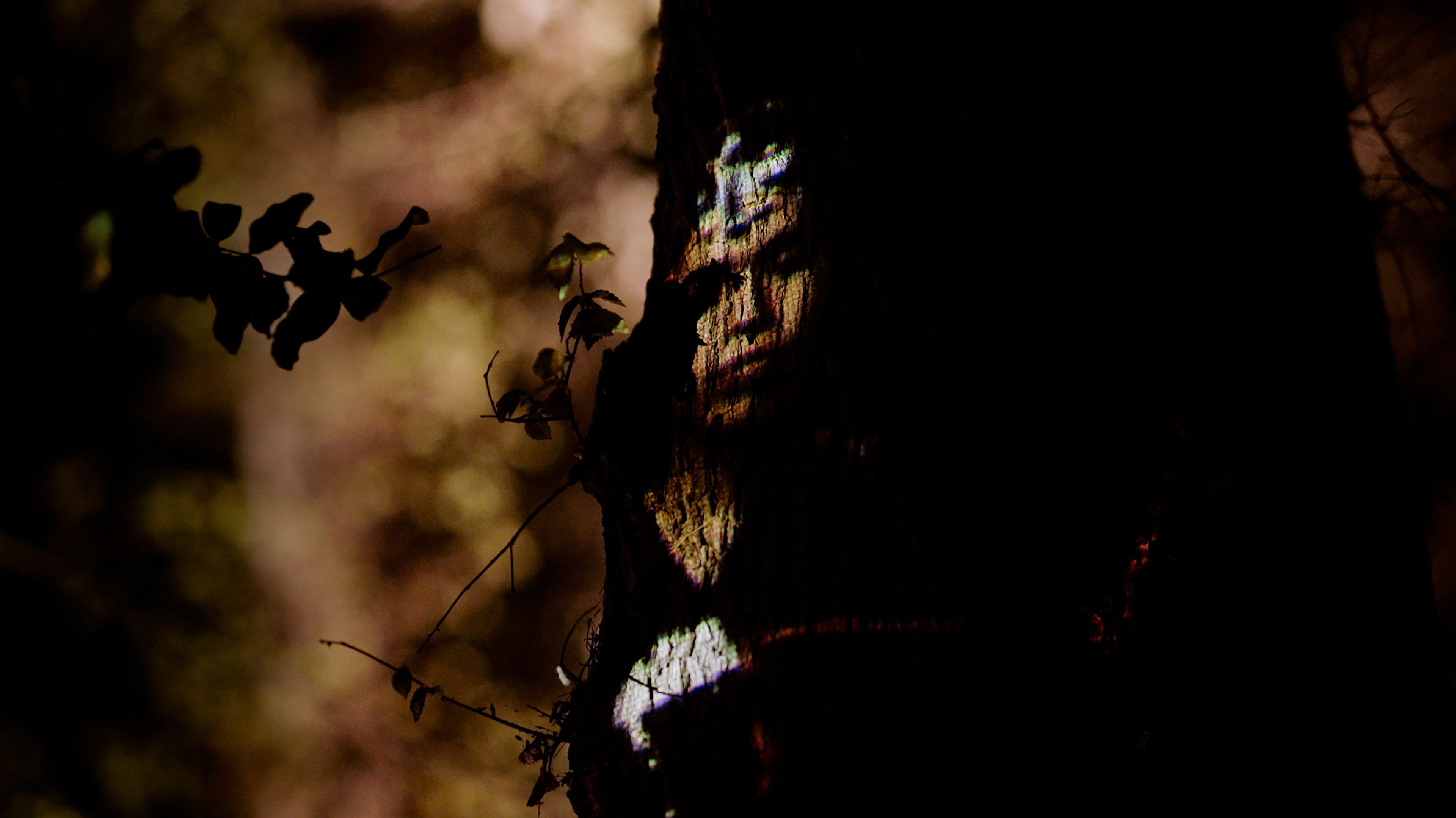 Backdrop for La búsqueda del otro