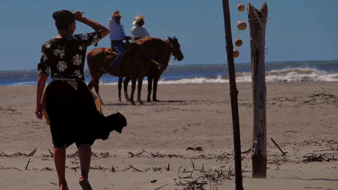 Backdrop for Iguana Like the Sun