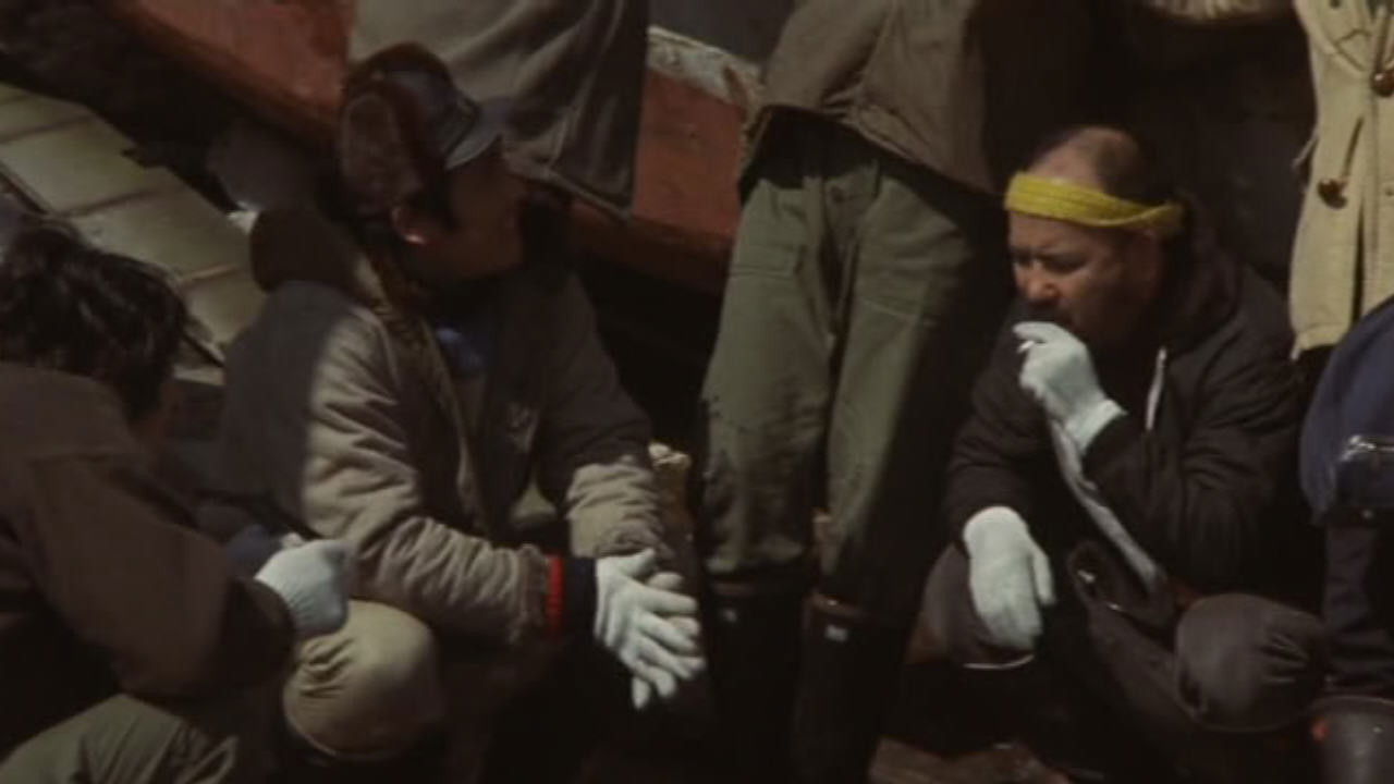 Backdrop for Light of Africa