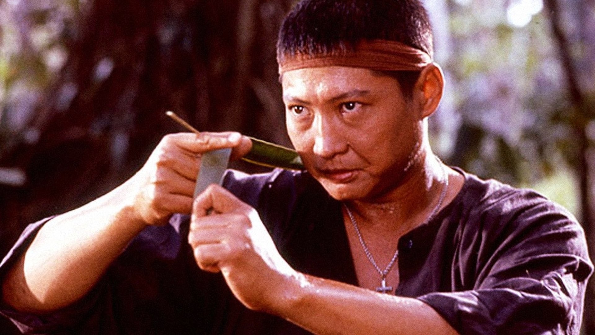 Backdrop for Eastern Condors