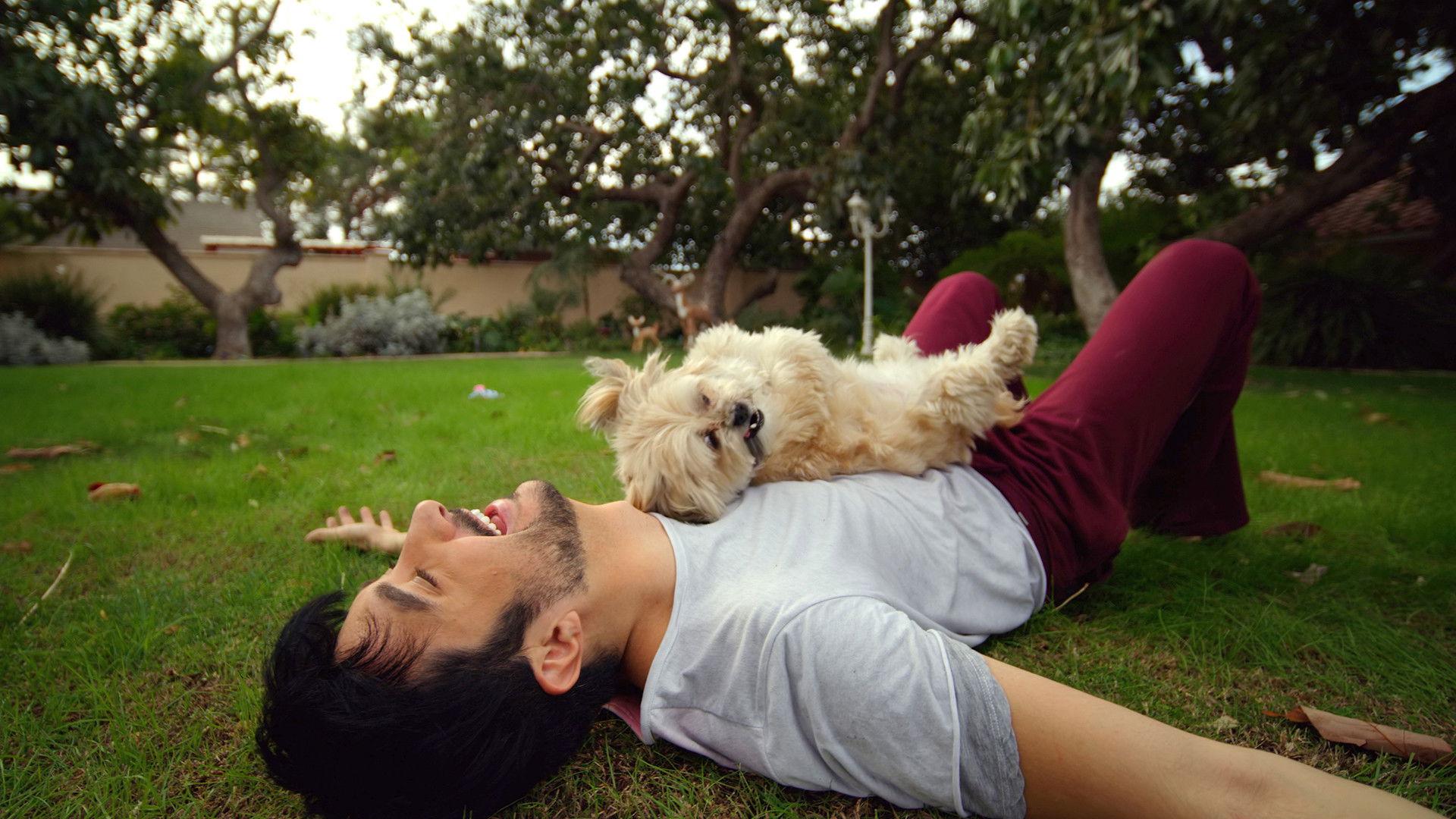 Backdrop for Doggy Bank