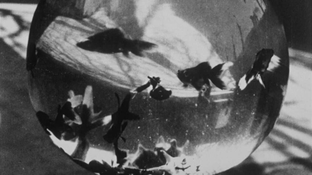 Backdrop for Bocal aux poissons rouges