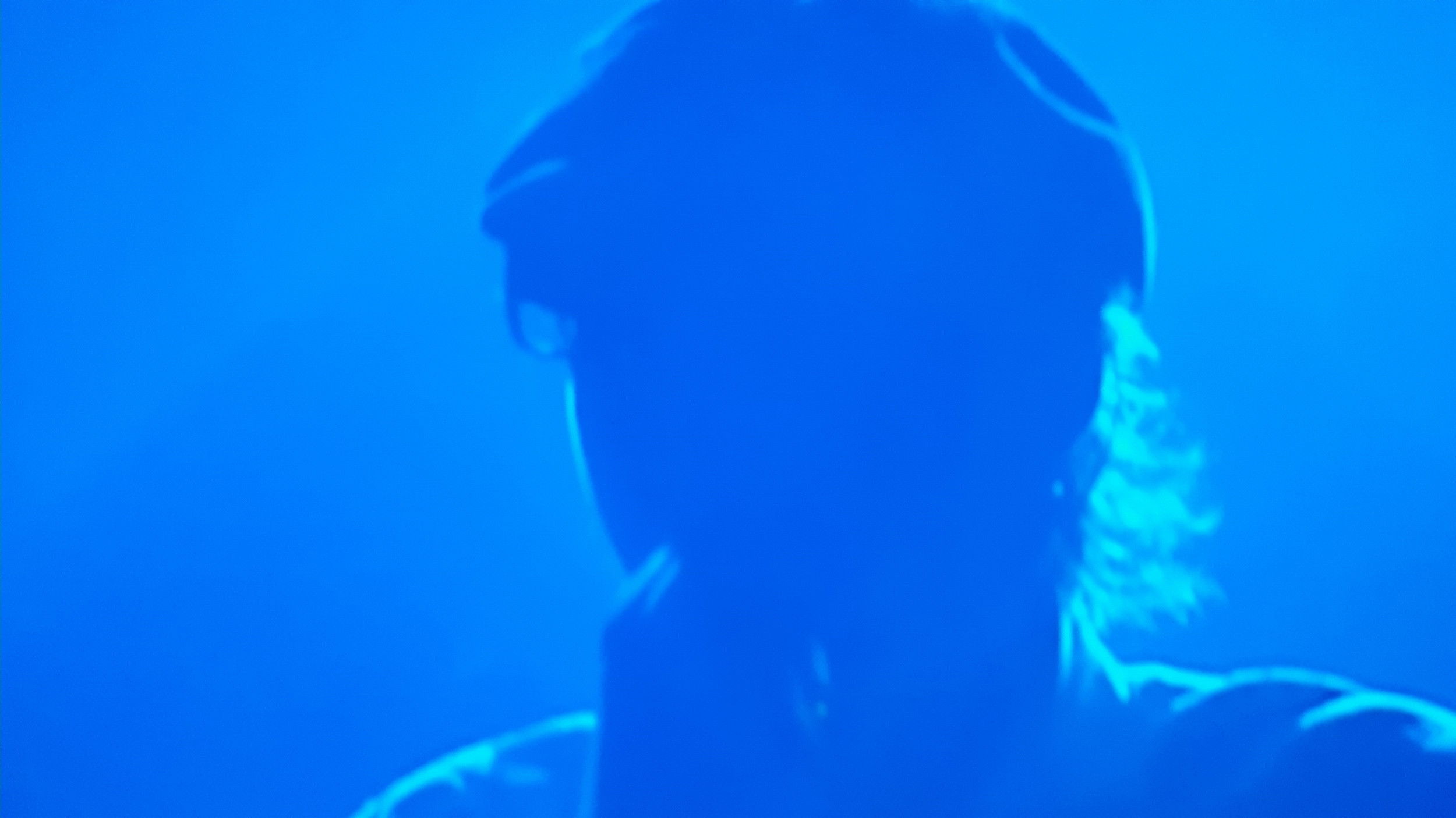 Backdrop for Christophe Willem - Fermeture pour renovation