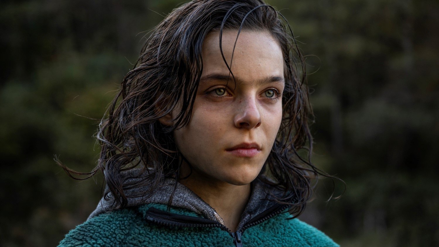 Backdrop for Nina of the Wolves