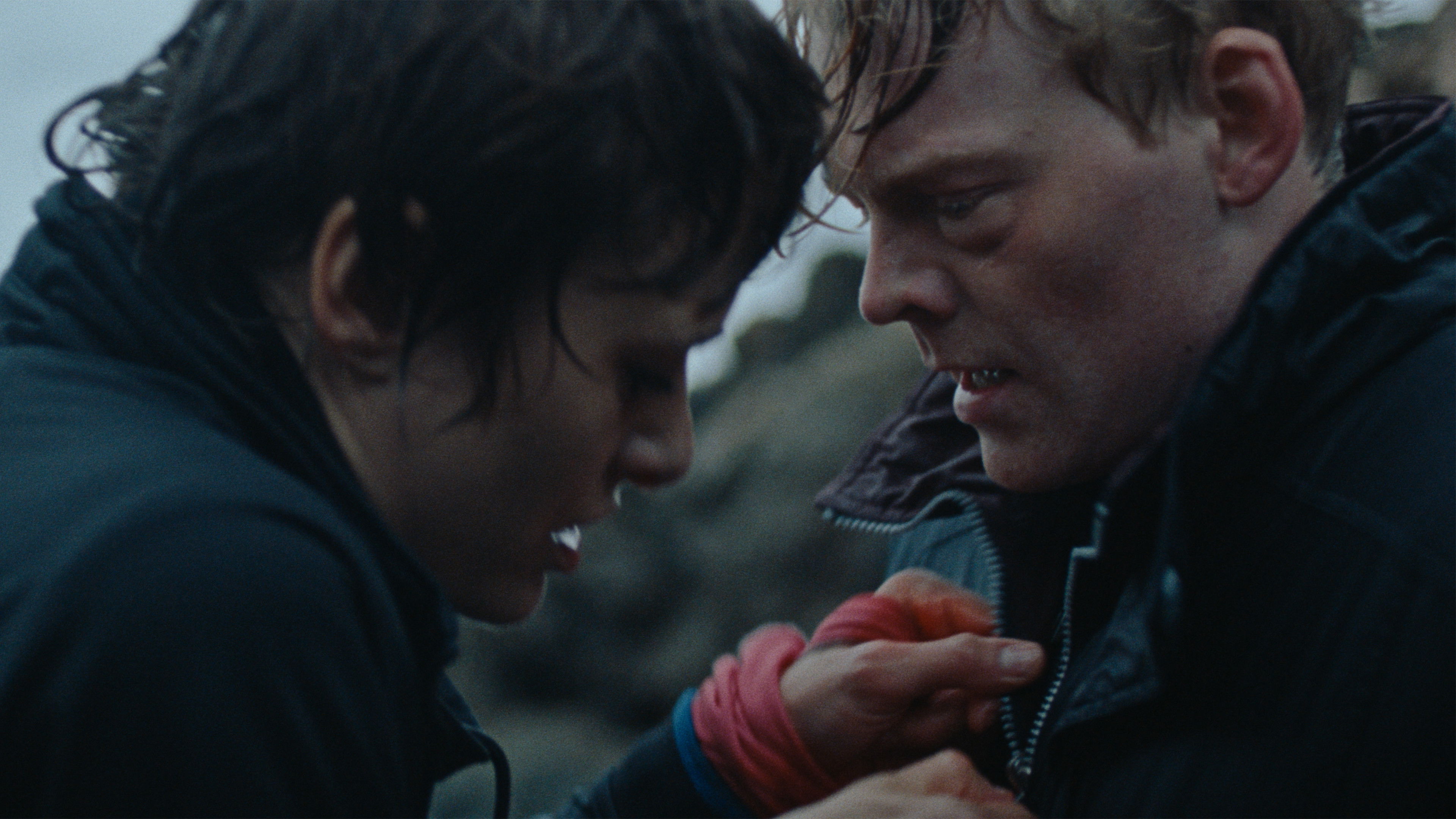 Backdrop for Cataract