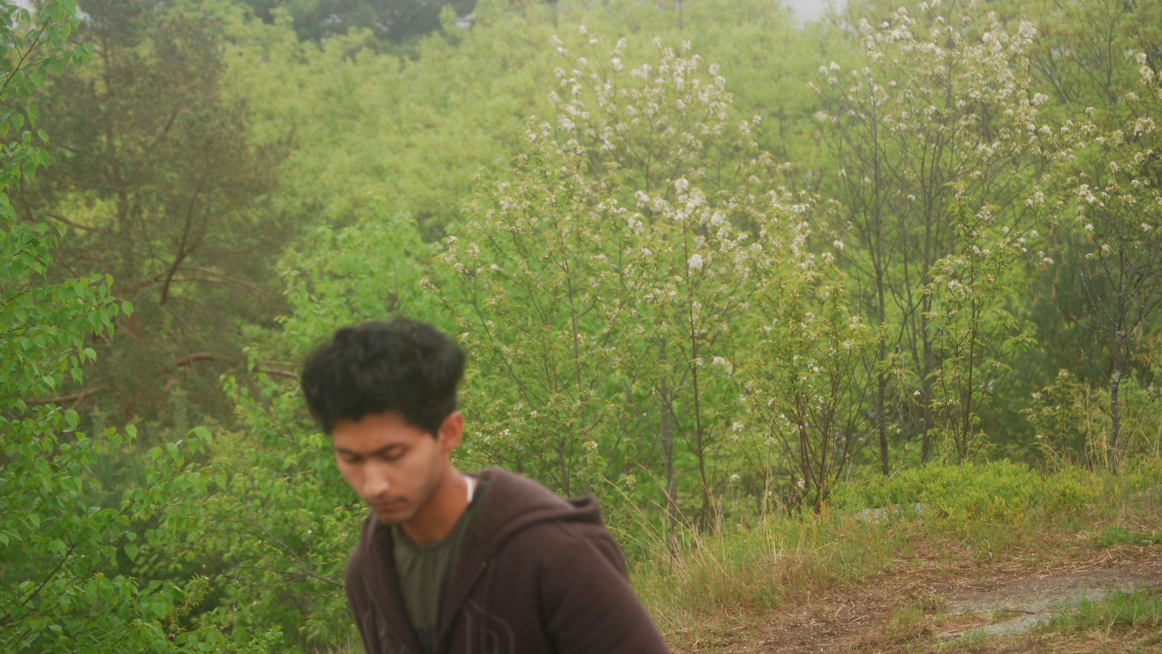 Backdrop for REMNIRA