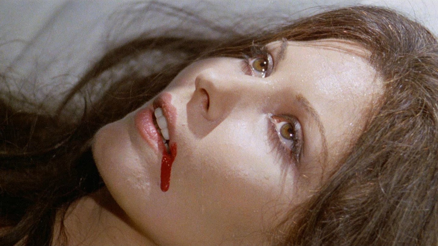 Backdrop for All the Colours of the Dark