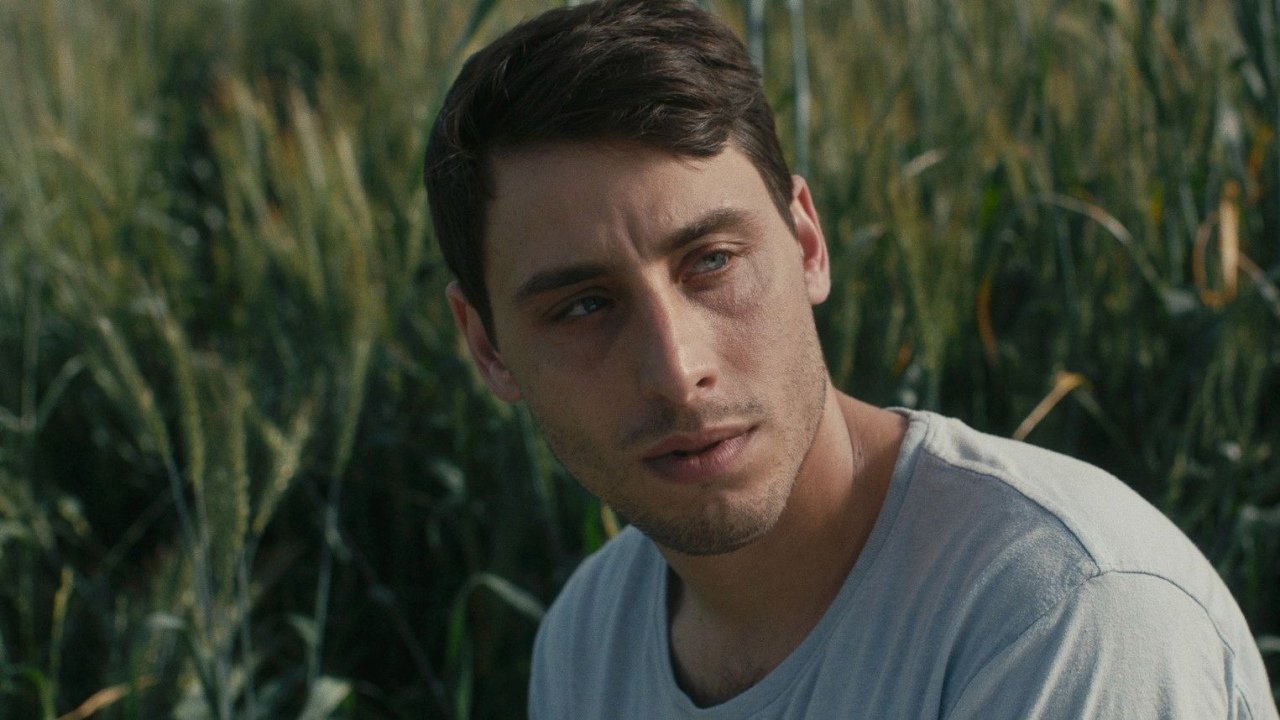 Backdrop for The Boy