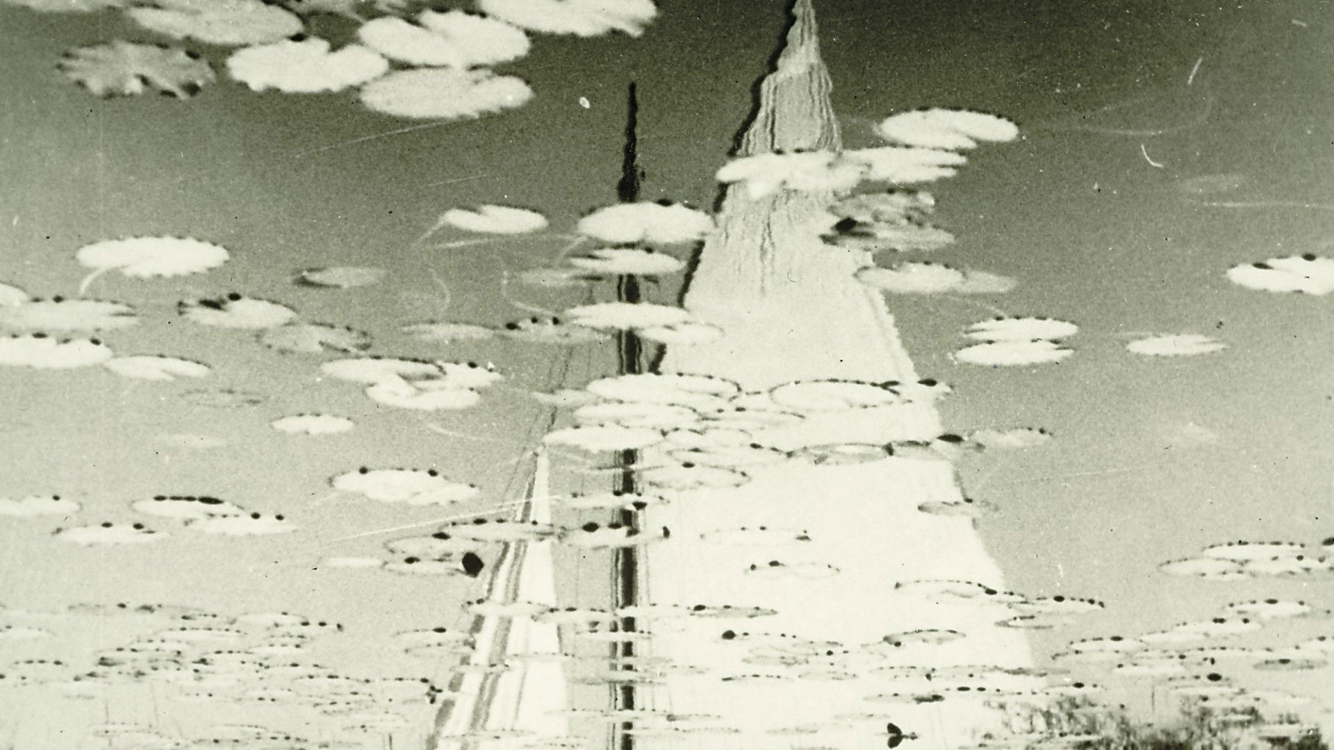 Backdrop for Mirror of Holland