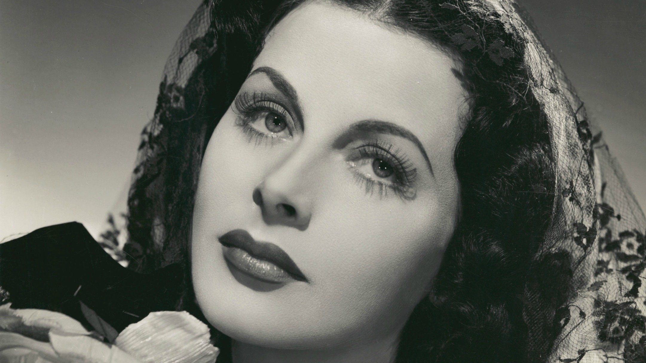 Backdrop for Her Highness and the Bellboy