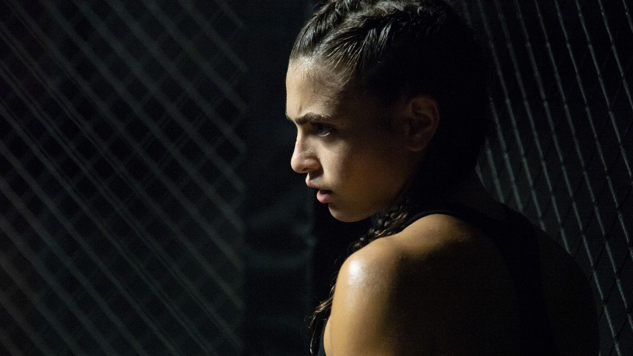 Backdrop for The Cage - Nella gabbia