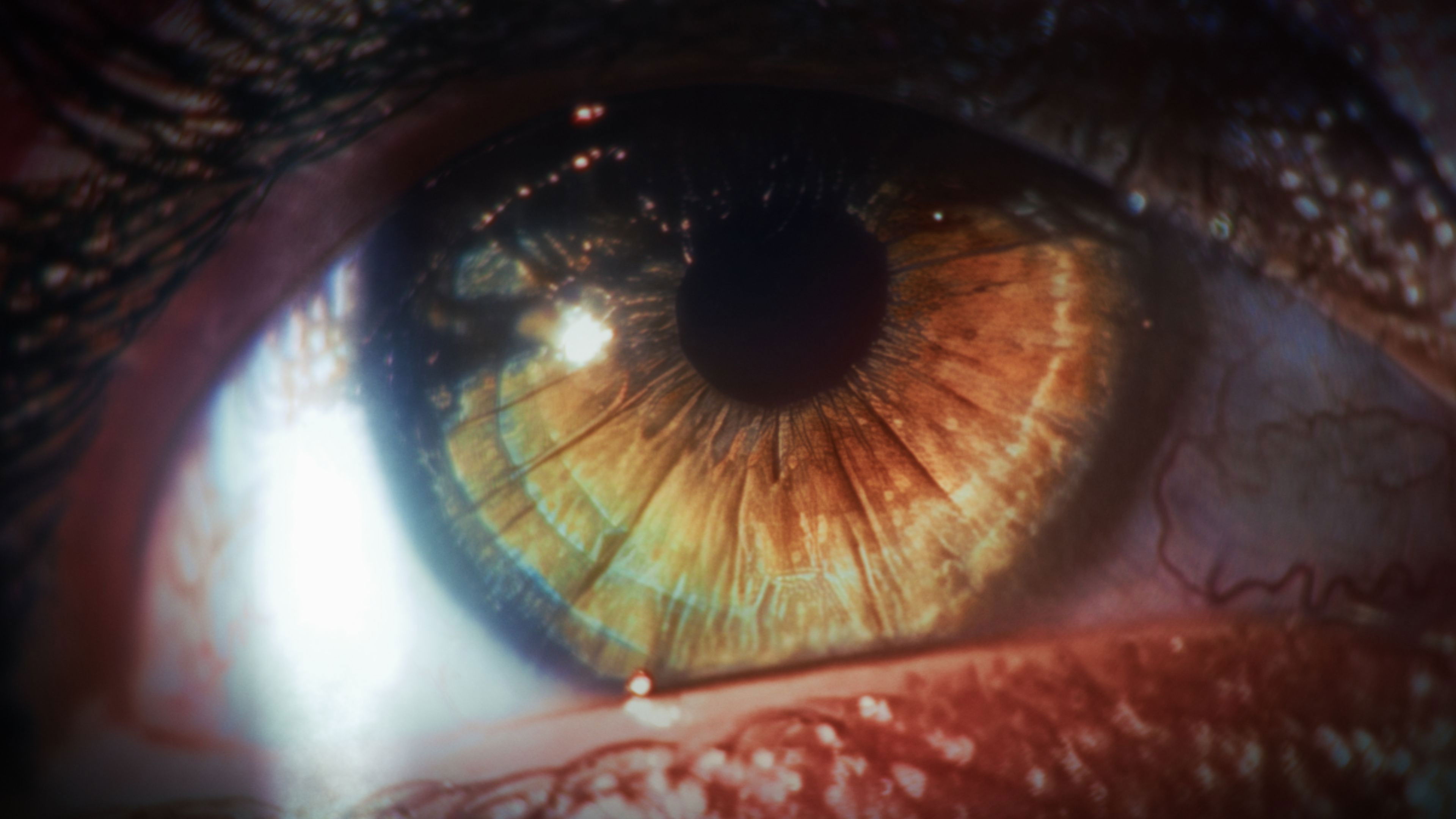 Backdrop for The Art Of Self Destruction - Director's cut