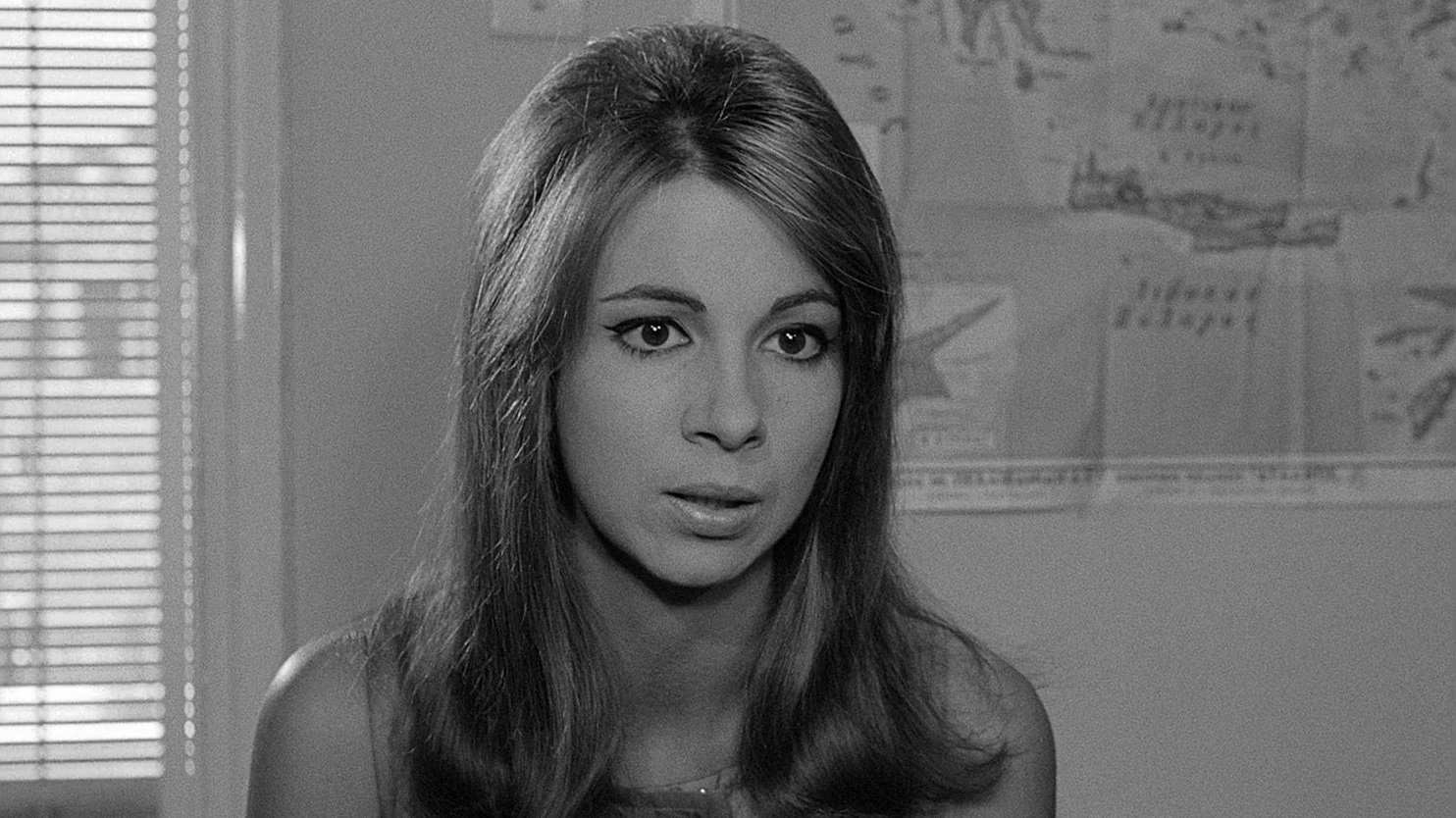 Backdrop for The Hot Month of August