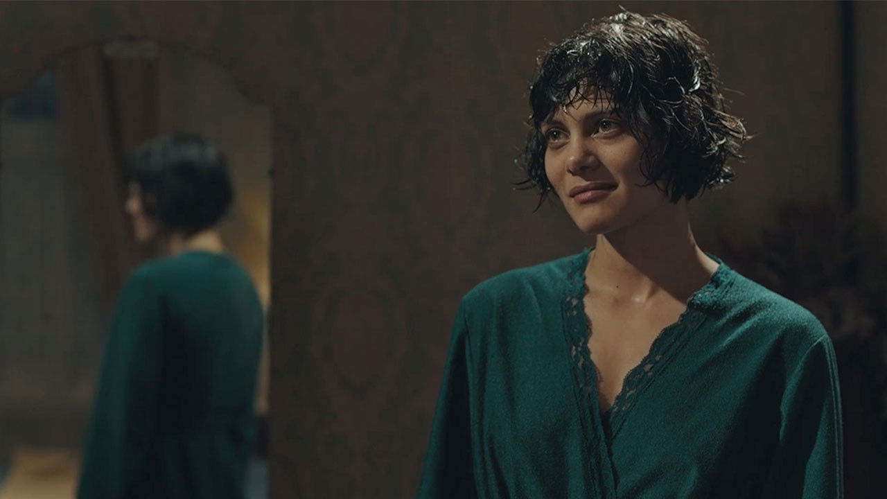 Backdrop for Peacock