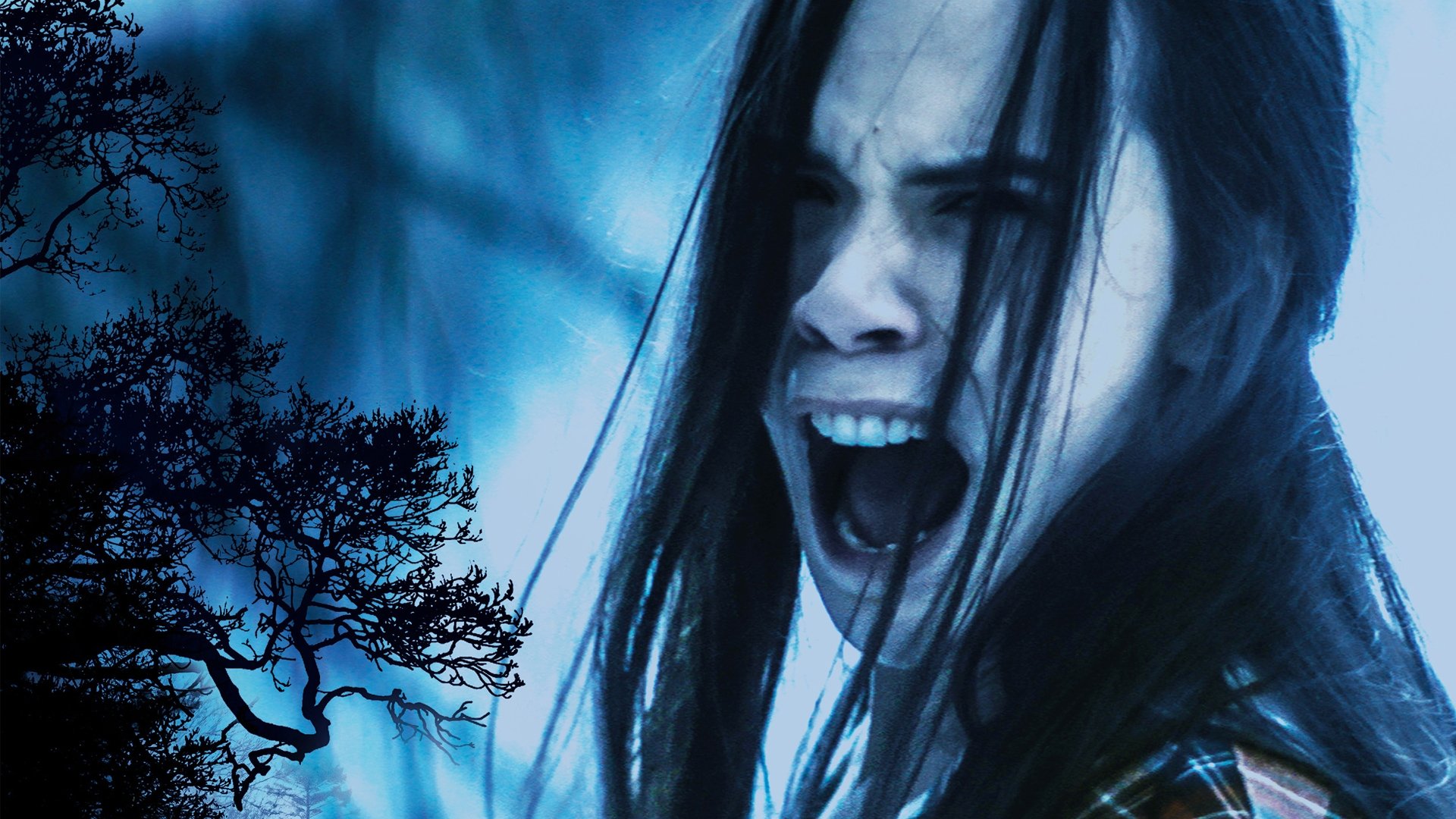 Backdrop for Ice Blue