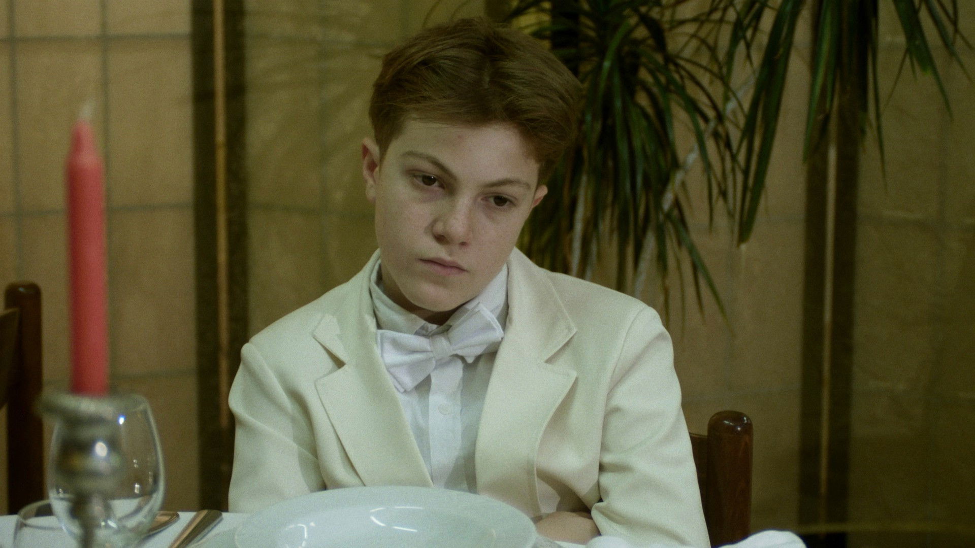 Backdrop for The Young Observant