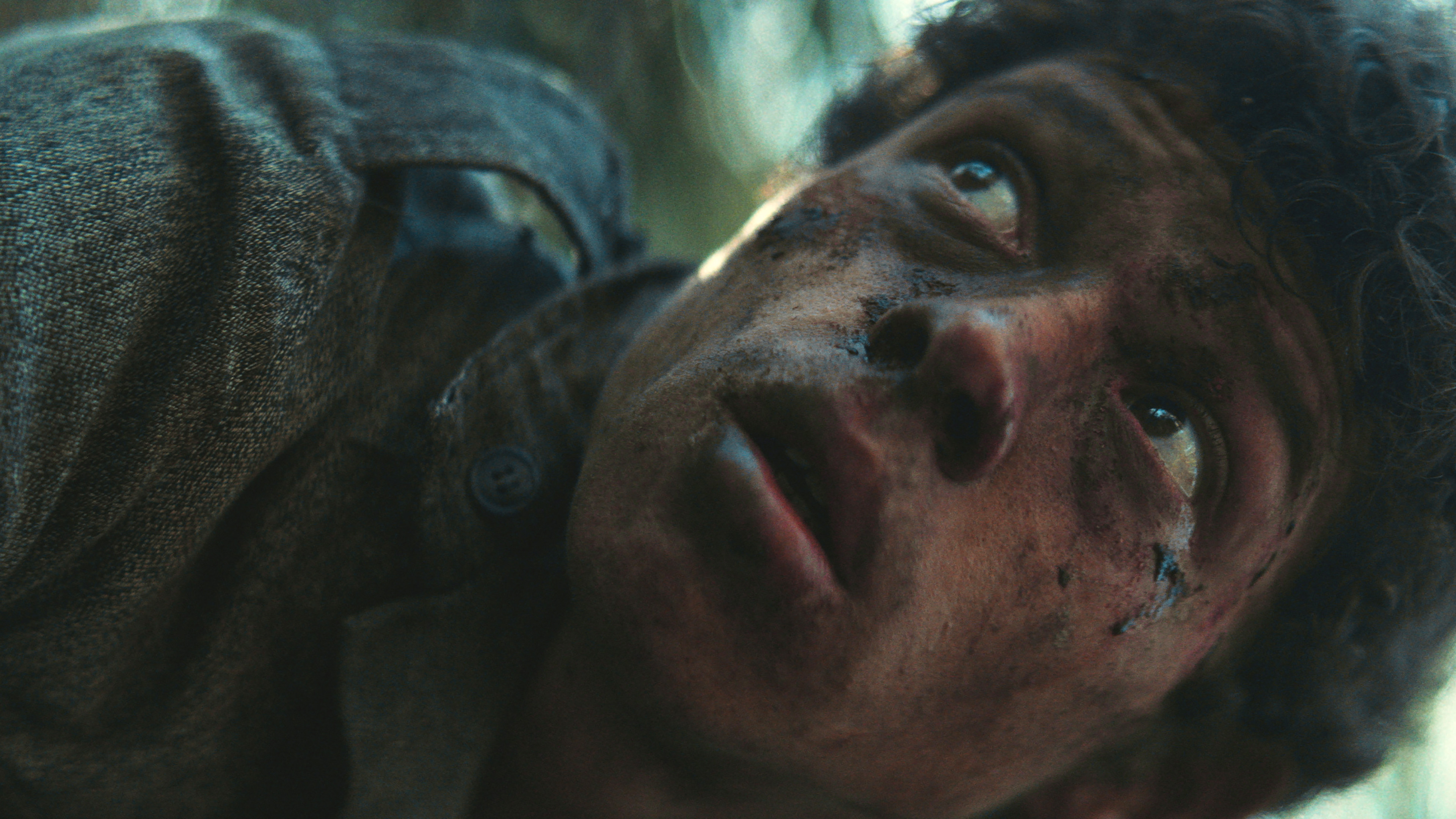 Backdrop for Mosquito