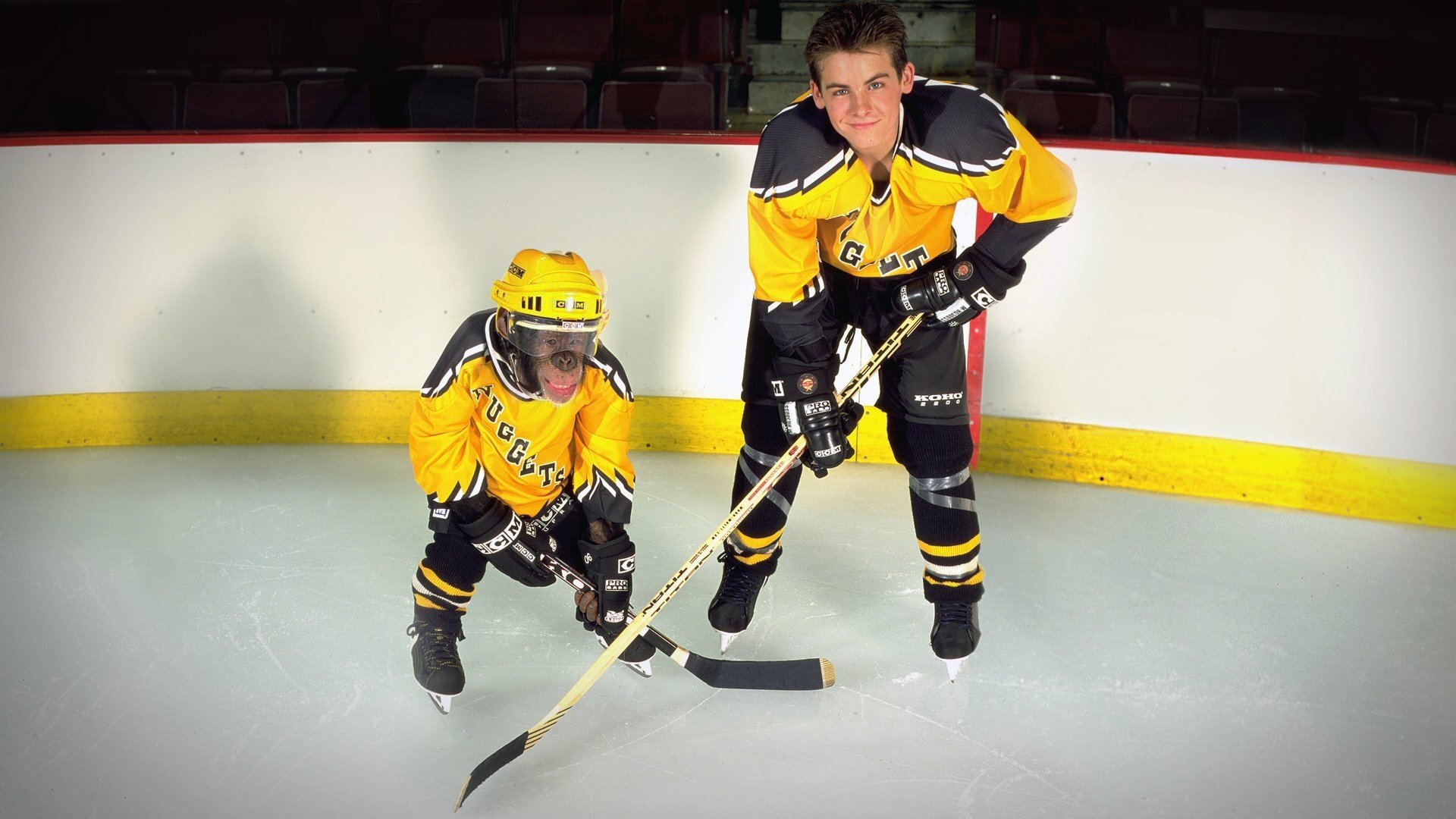 Backdrop for MVP: Most Valuable Primate