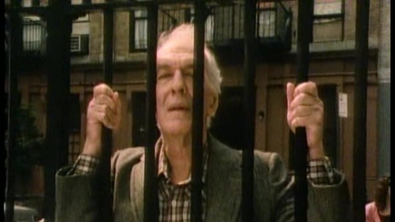 Backdrop for An Empty Bed