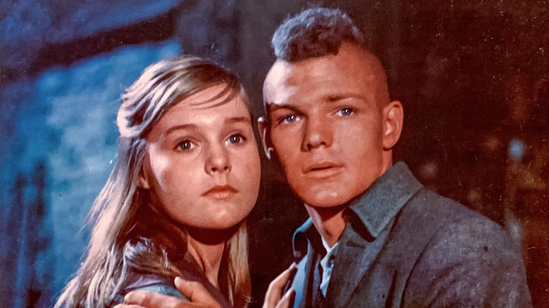 Backdrop for The Light in the Forest