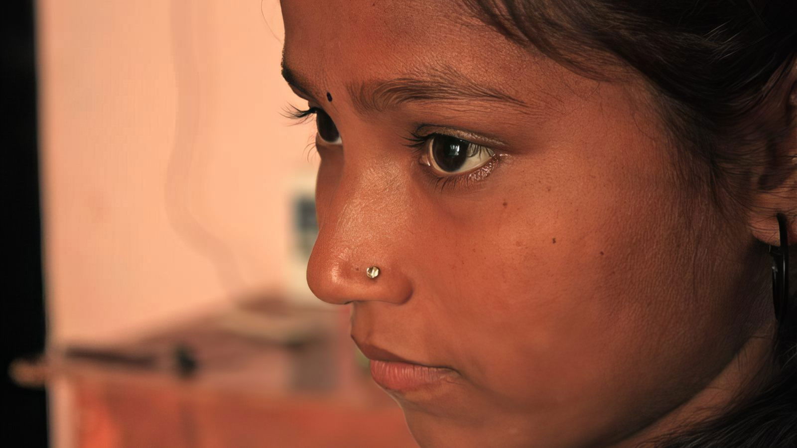 Backdrop for Pink Saris